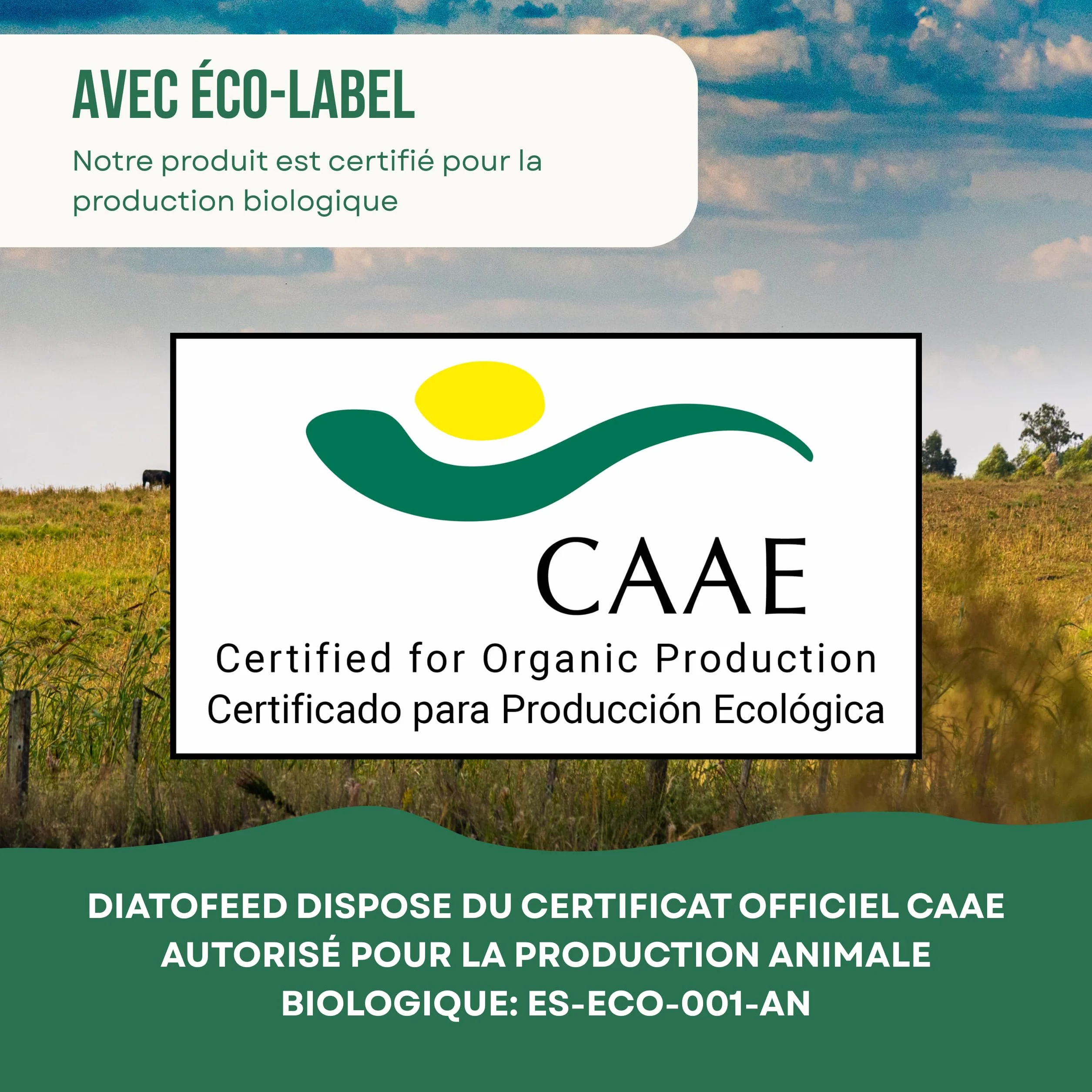 ECO Terre de Diatomée 25kg – Supplément minéral Non calcinée pour l'alimentation Animale