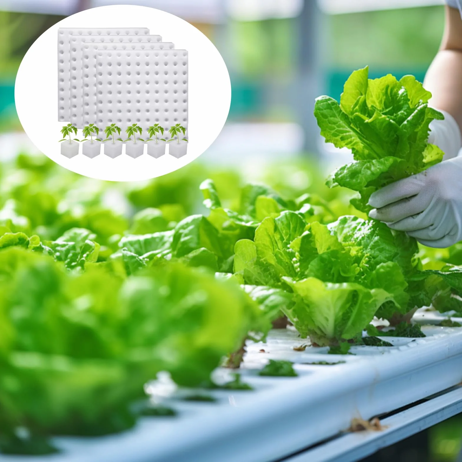 400 cubes en mousse hydroponiques pour pots en filet aéroponique serre