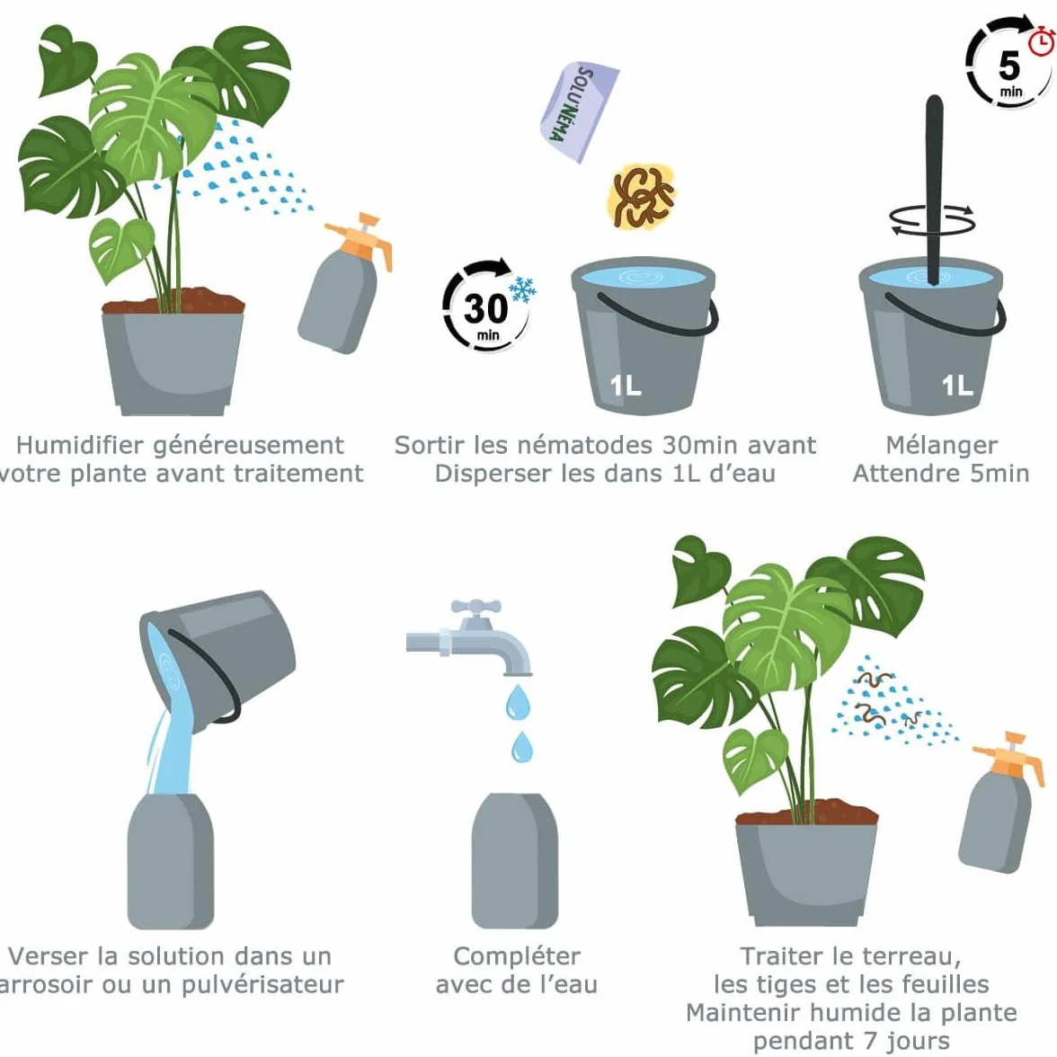 SOLUNEMA Nématodes Contre les Thrips 5 Millions Longue Durée