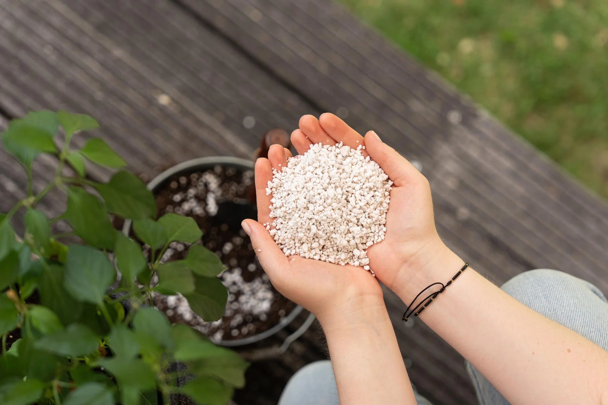 Floragard Perlite 3x5 litres Aération du Sol Croissance Végétale