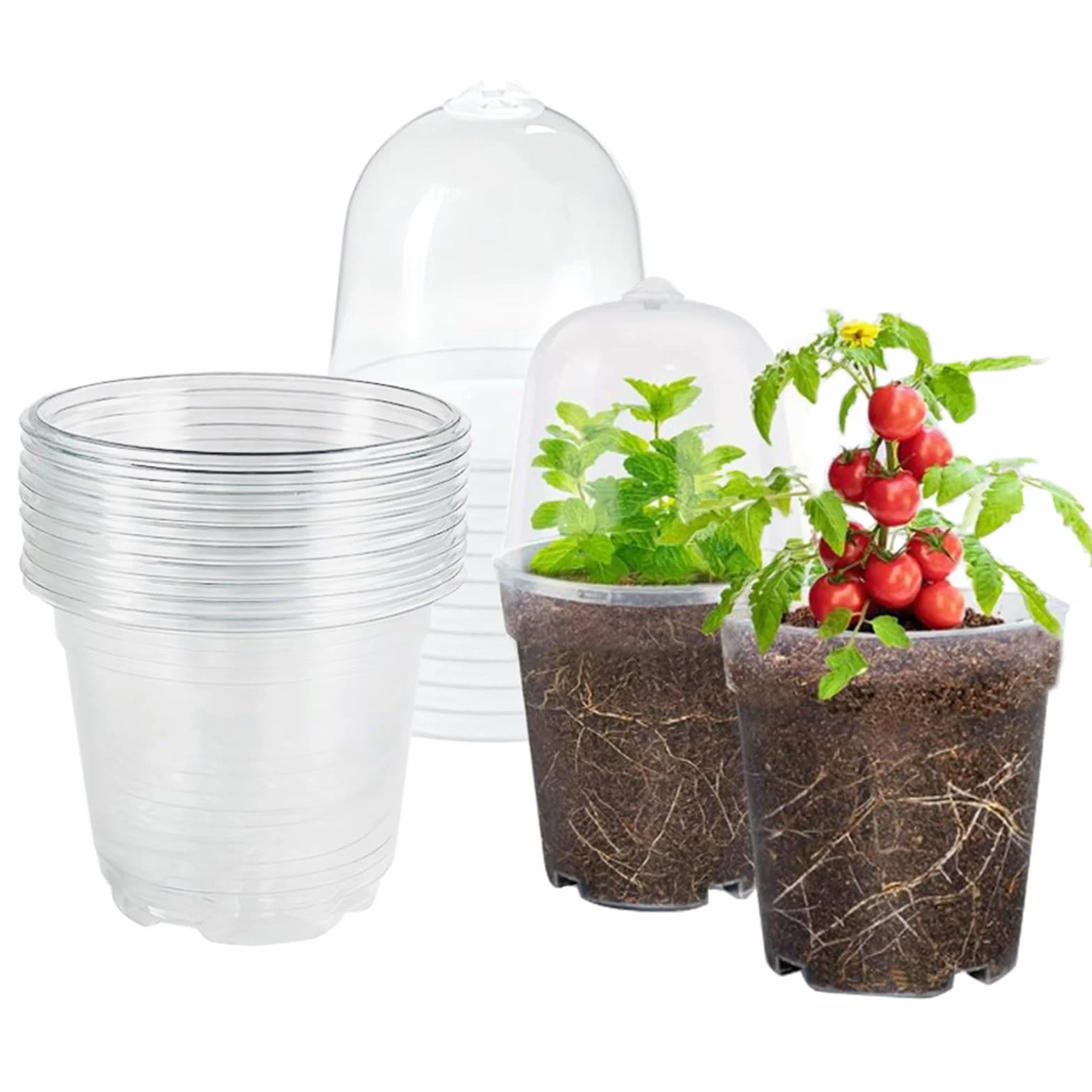 Lot de 10 Pot Plastique Plante avec Couvercle 10cm Transparent Orchidée Ronds