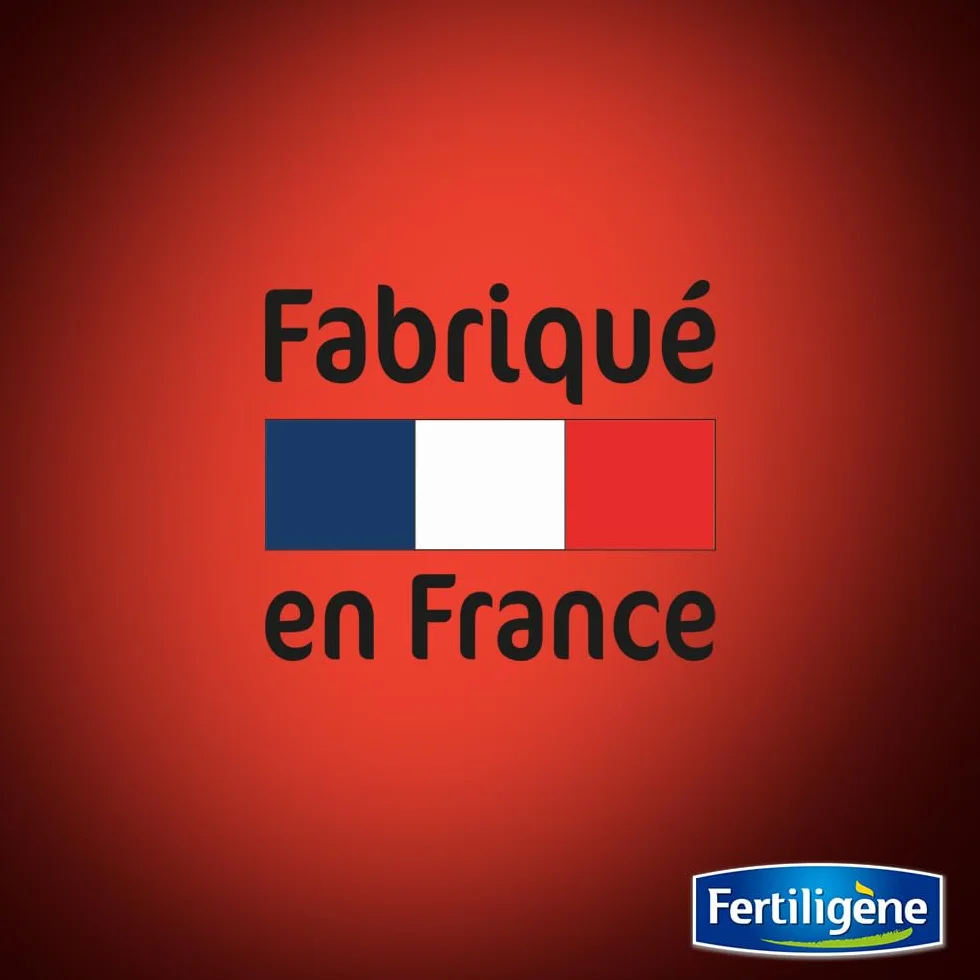 Fertiligène Destructeur de Fourmilières Action Choc 48h 400g – Jusqu'à 20 Nids