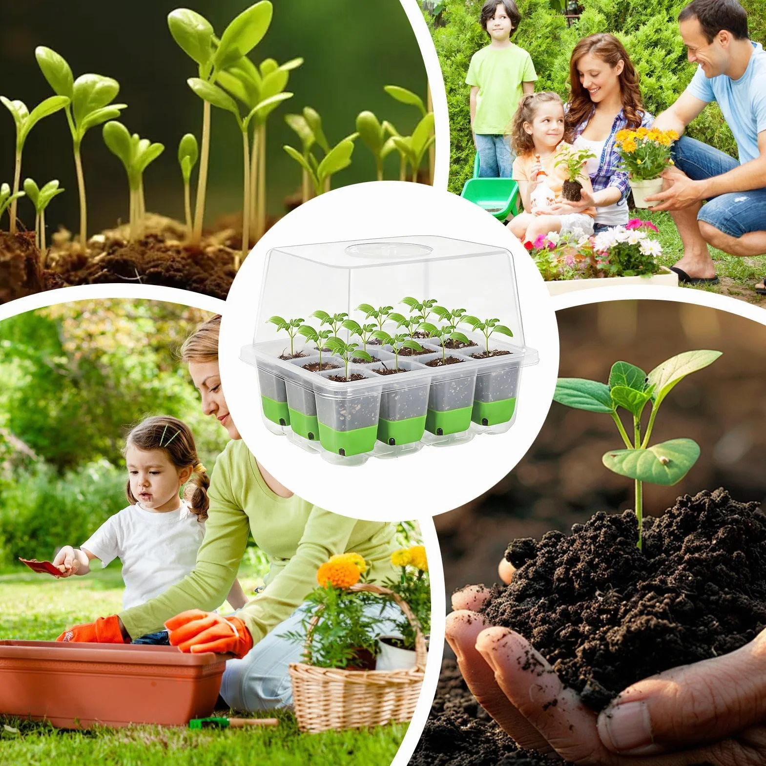 Kit de plateau de démarrage en silicone réutilisable 18,5 x 14,5 cm pour tomates légumes orchidées
