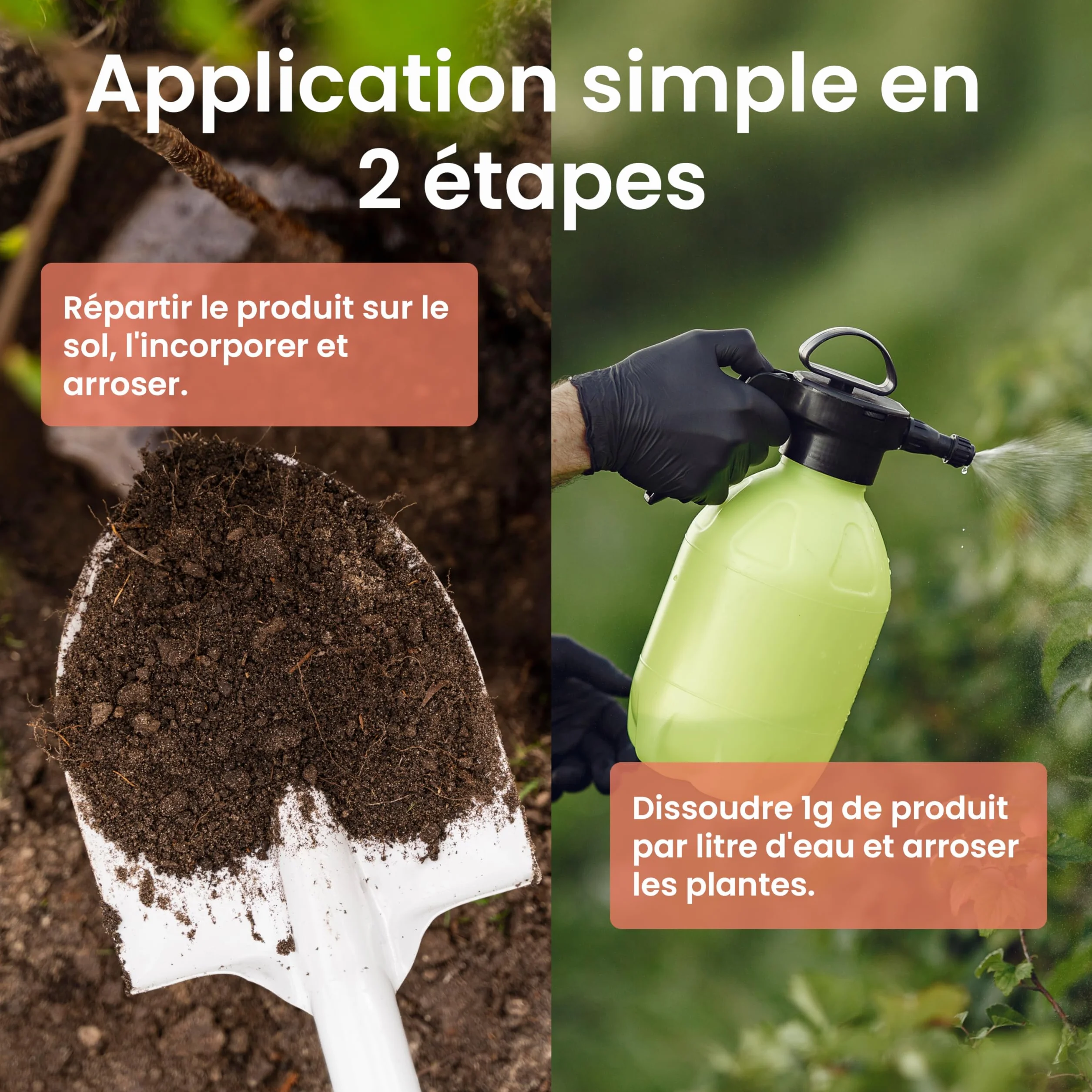LERAVA chélate de fer 200g Anti-Chlorose Feuilles Jaunes Agriculture Biologique Toutes Cultures Pot ou Terre