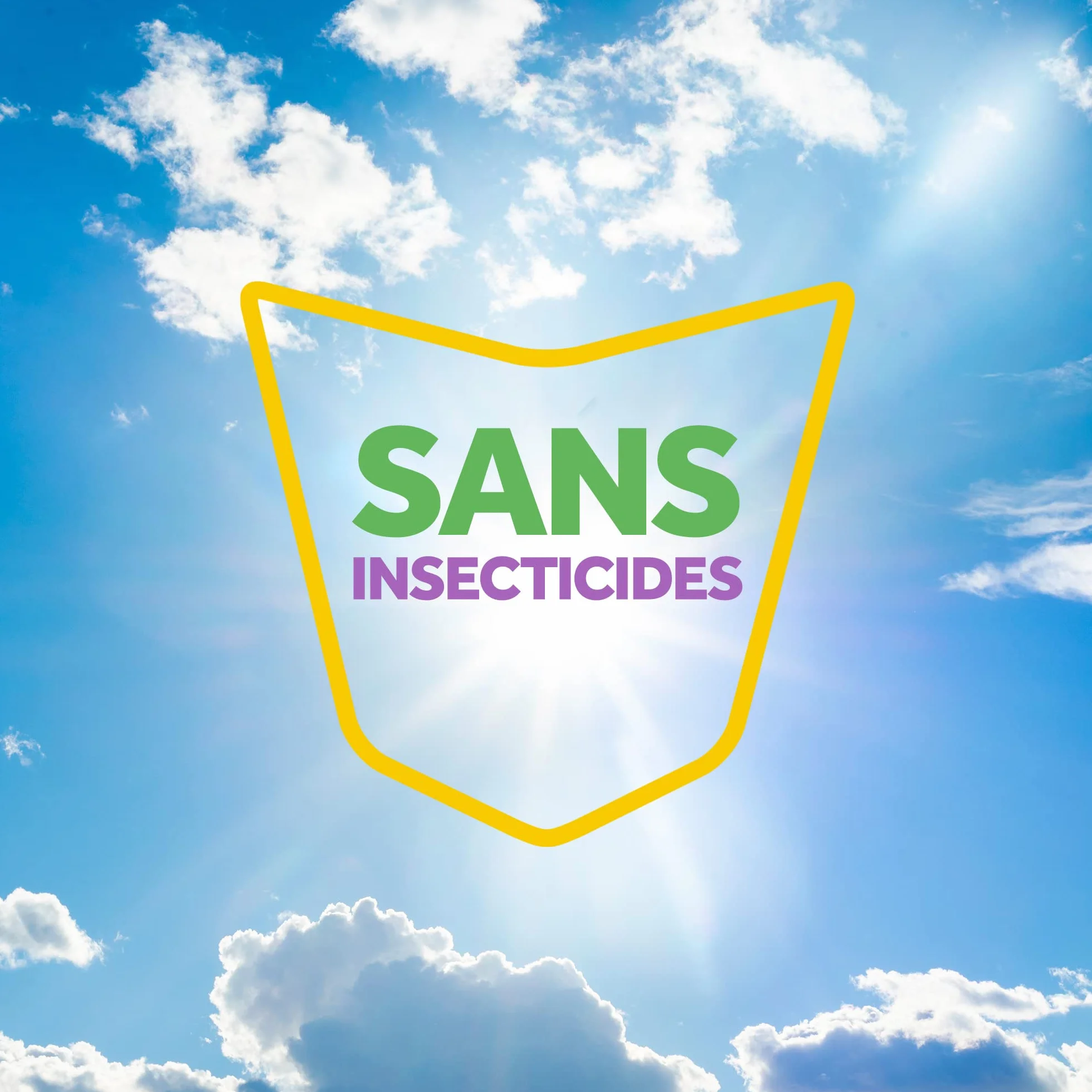 Raid Piège Mites Alimentaires Anti-Mites 2 Pièges 8 Semaines