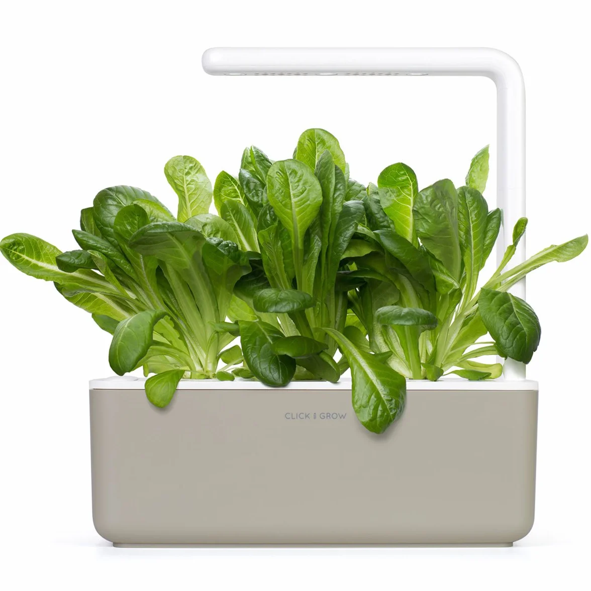 Click and Grow Smart Garden Lot de 3 gousses de laitue romaine