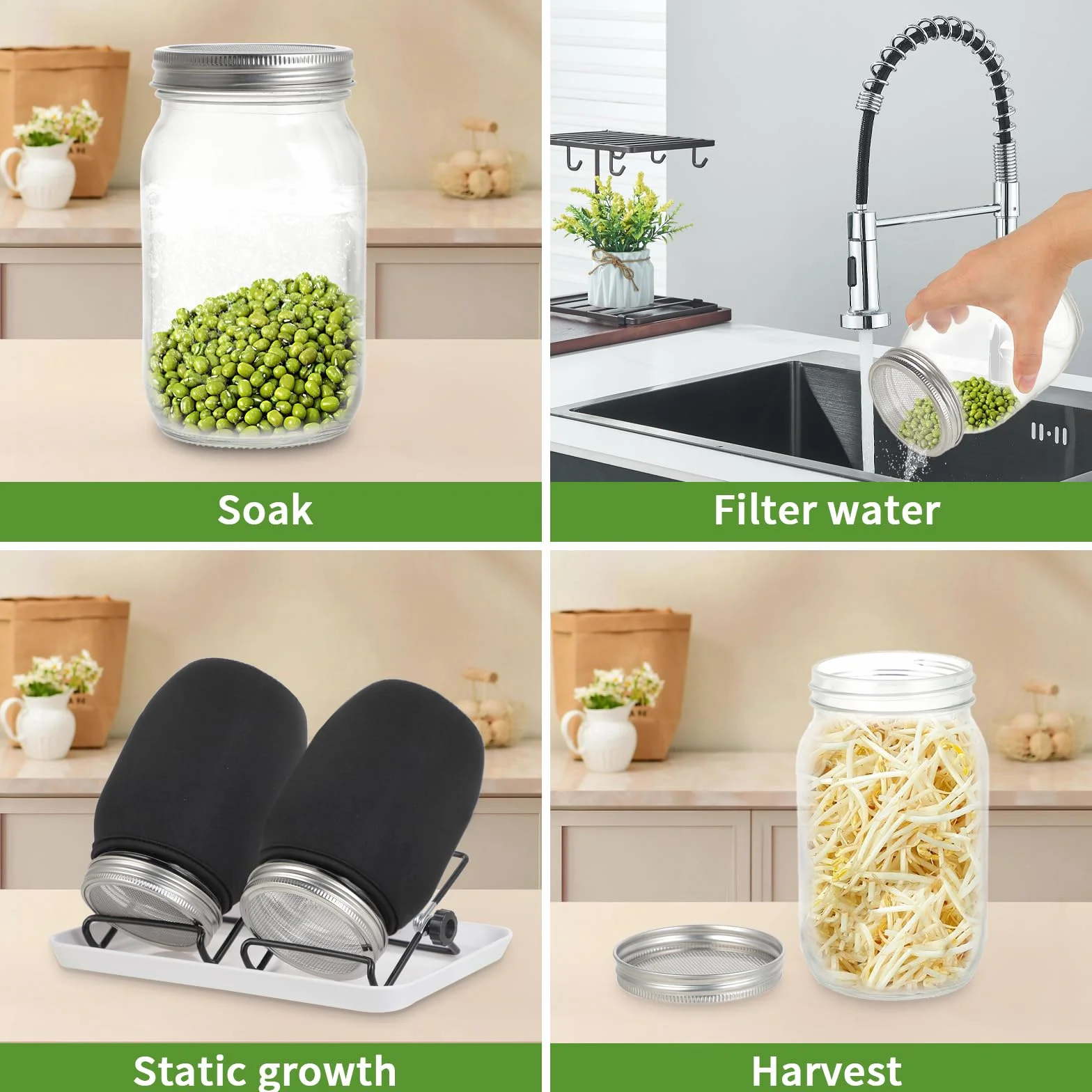 Germoir à Graines en Verre 32oz - Pot de Germination avec Couvercle Inoxydable, Support et Plateau - Pour Microgreens, Cuisine, Jardin (Noir)