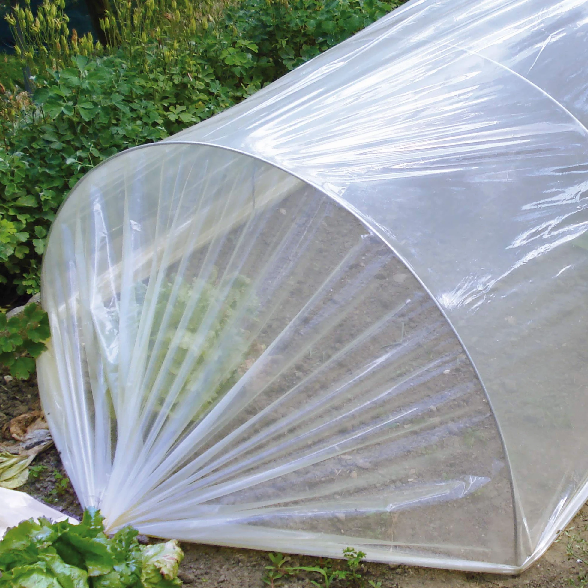 TENAX Film de Forçage Coat Film 2,00x10 m Housse de Protection pour Plantes Transparent