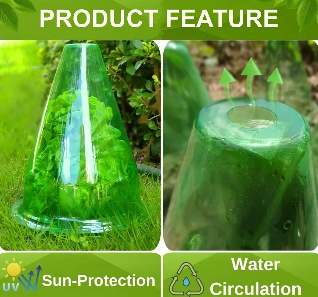Cloches pour Plantes de Jardin 24 Pièces 24CM x 20CM Couvercle en Plastique Protection Contre Soleil Neige Gel Oiseaux Insectes