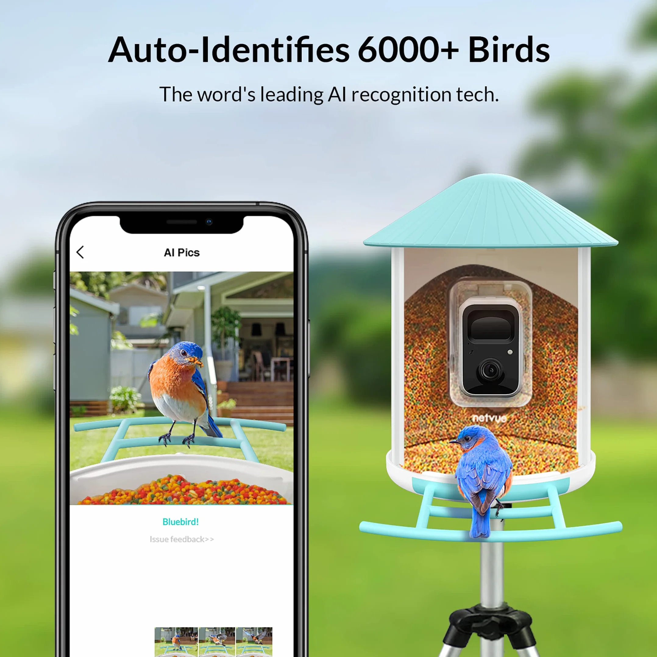 NETVUE Mangeoire Oiseaux avec Camera IA, Observation et Identification des Oiseaux Via APP, Caméra Jardins WiFi à Batterie & Panneau Solaire