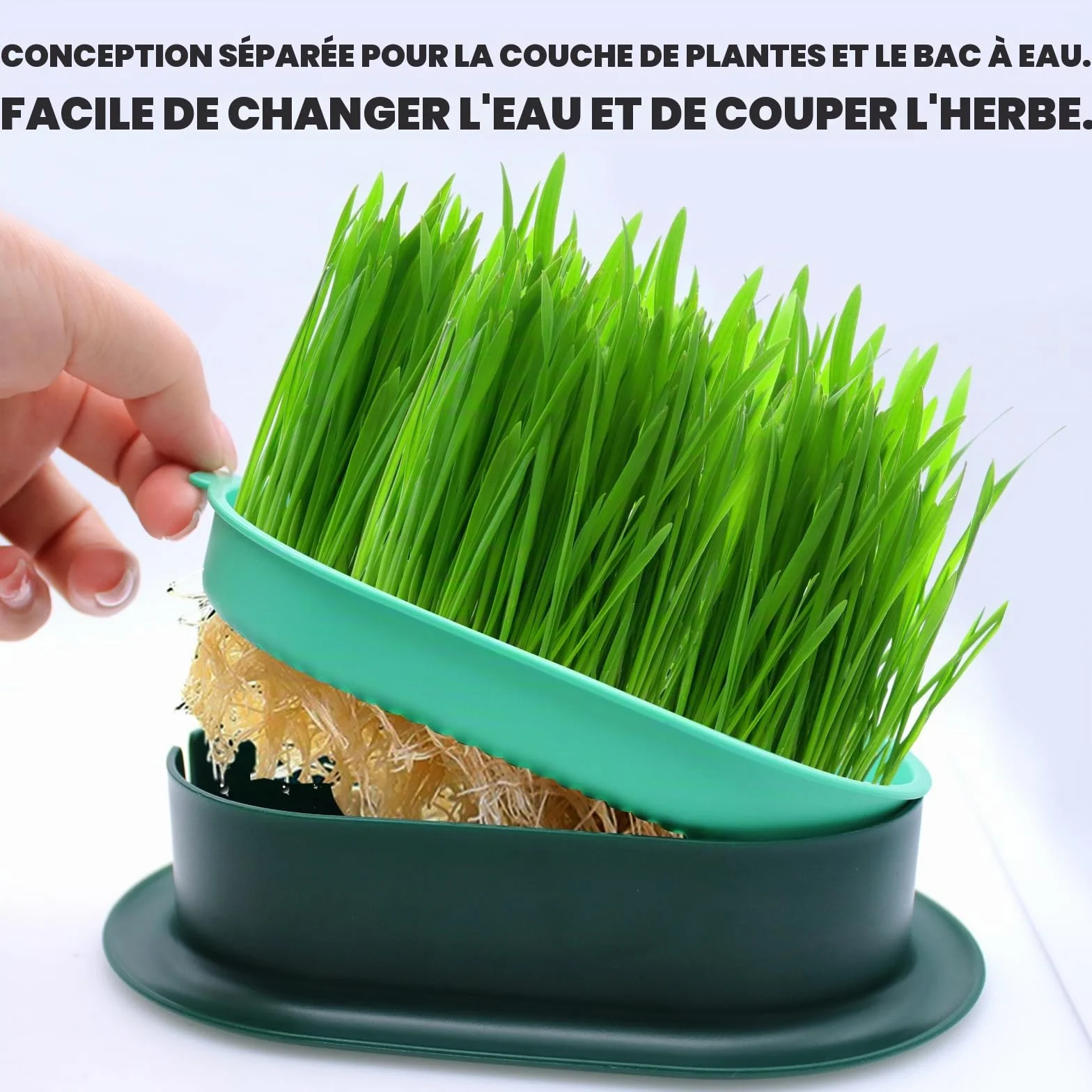 Bacs à Germer pour Herbe à Chat Fraîche, Plastique 2 Pièces