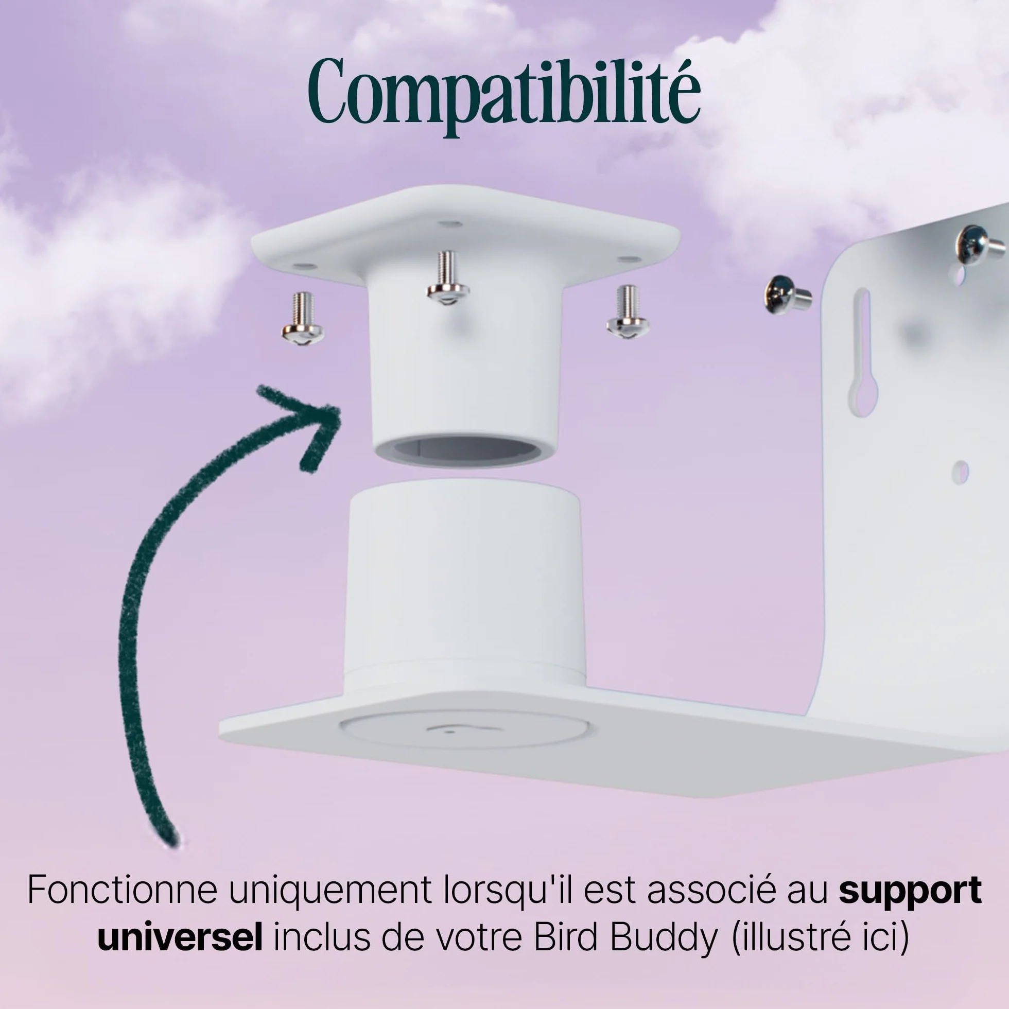 Birdbuddy Support Mural pour mangeoire à oiseaux - Accessoire mural robuste et résistant aux intempéries