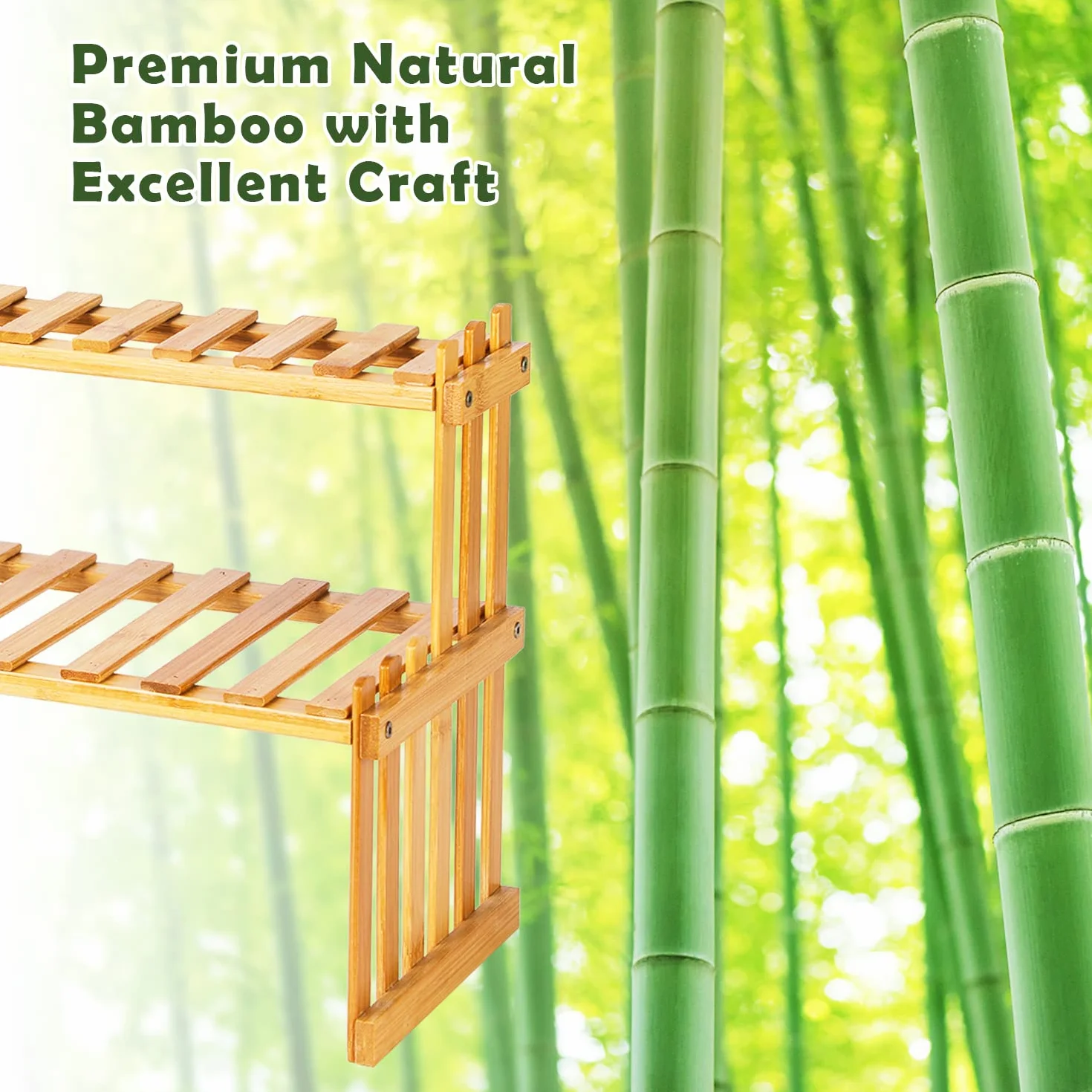 Étagère en bambou 2 niveaux pour plantes grasses 40 cm support multi-plantes organisateur bureau