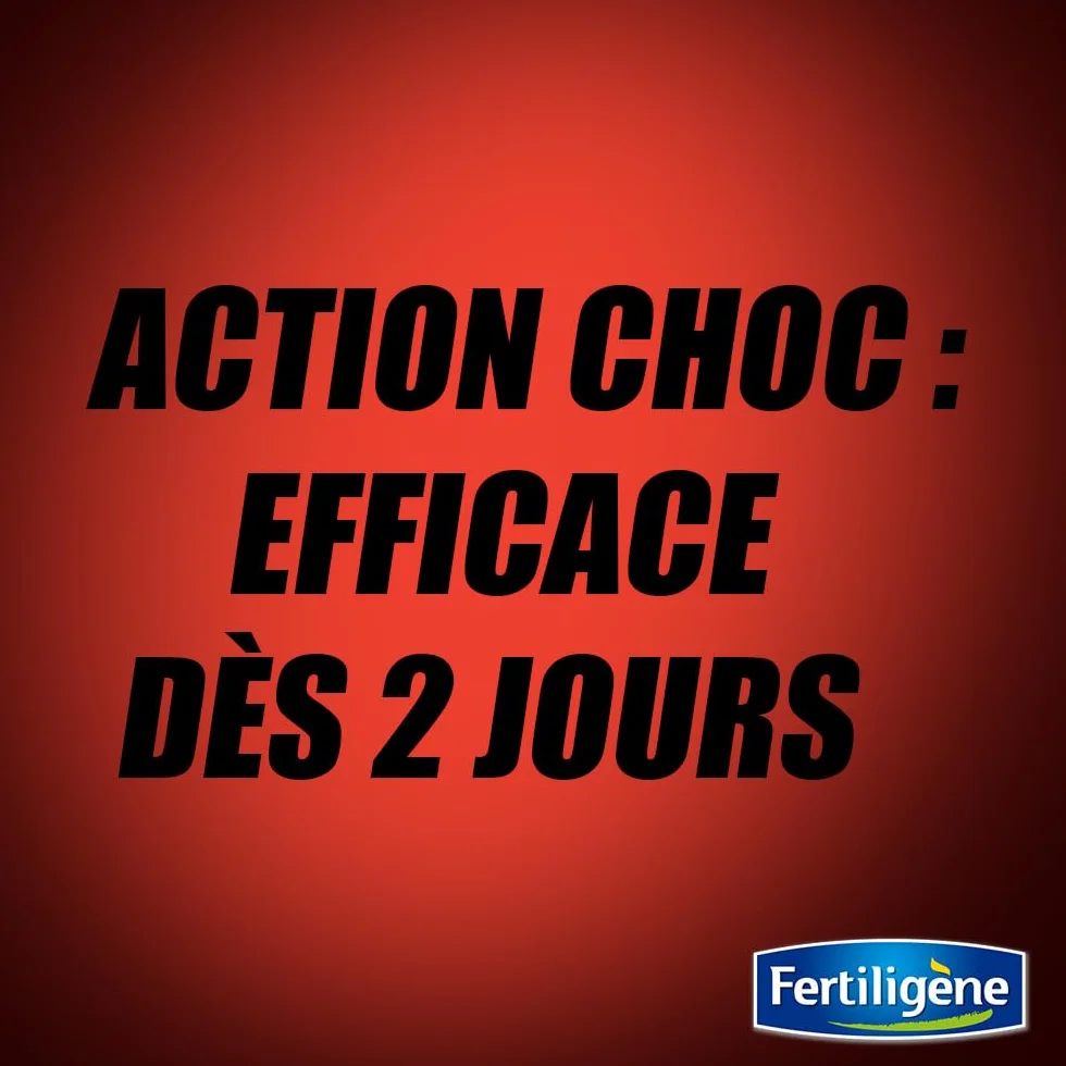 Fertiligène Destructeur de Fourmilières Action Choc 48h 400g – Jusqu'à 20 Nids