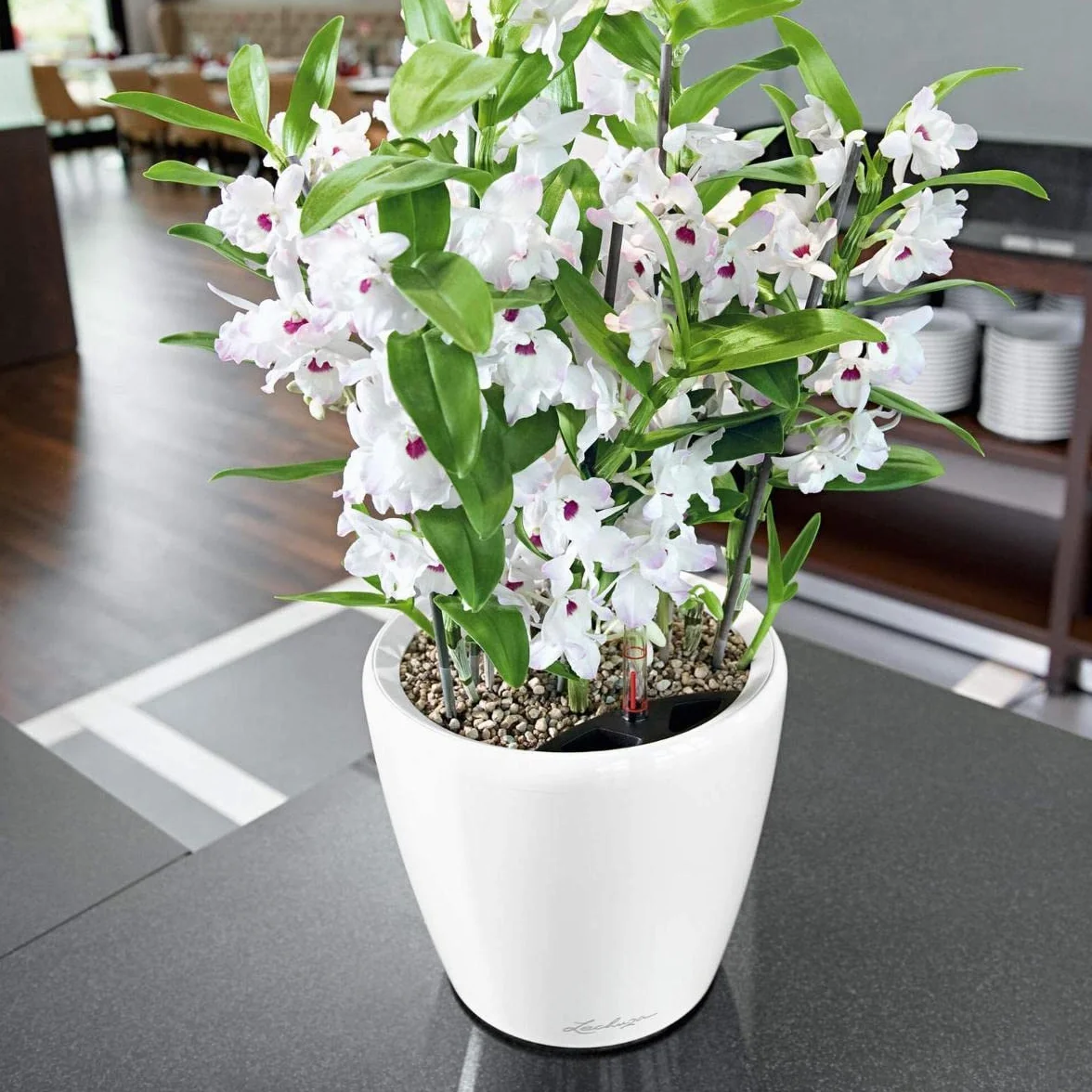 Lechuza Pot de Fleurs d'Intérieur Premium Classico Ls Réserve d'Eau Intégrée Blanc Ø 21 x 20 cm