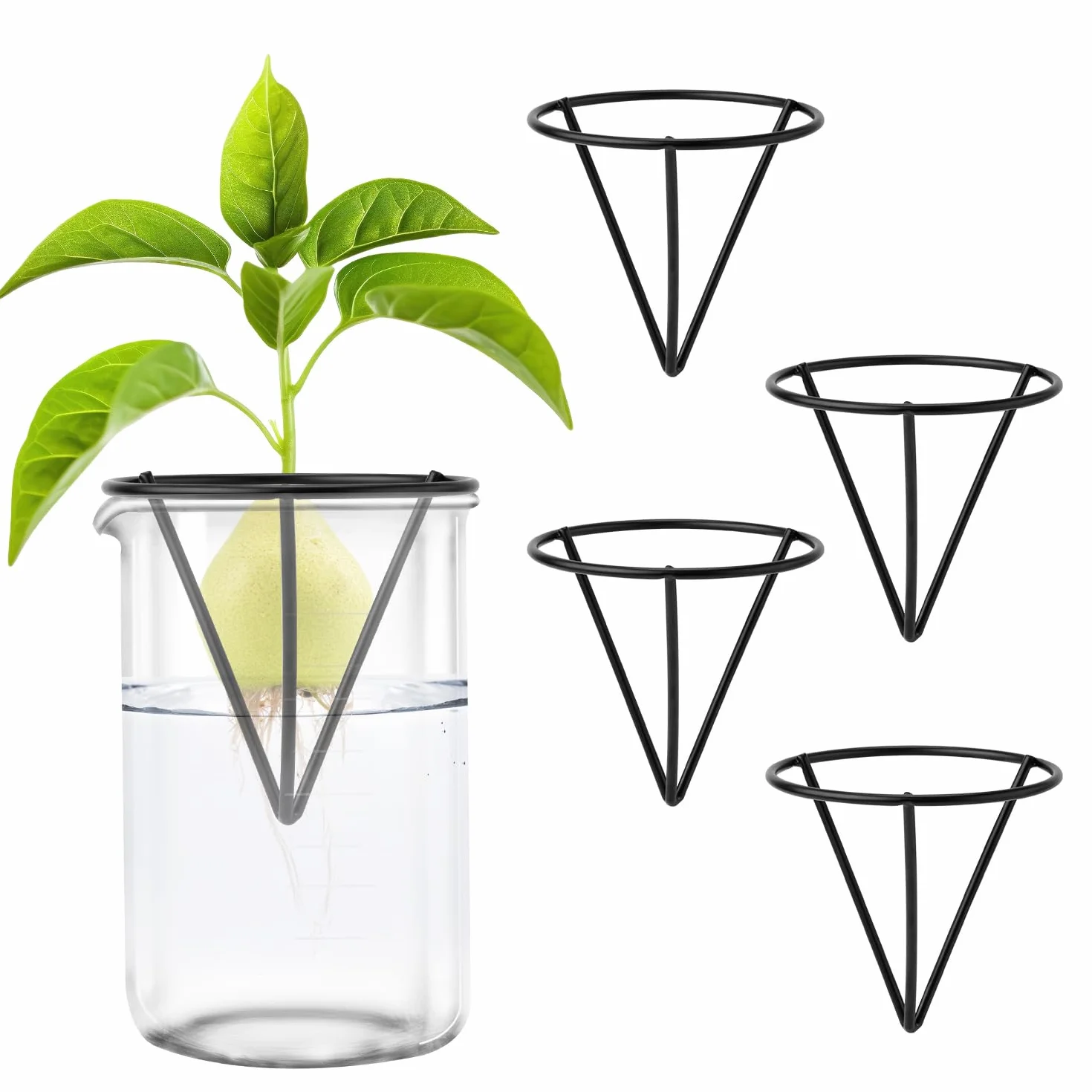 Gosknor 4pcs Démarreurs de Graines d'Avocat, Kits de Culture d'Avocatiers Triangulaires en Métal Support de Germination