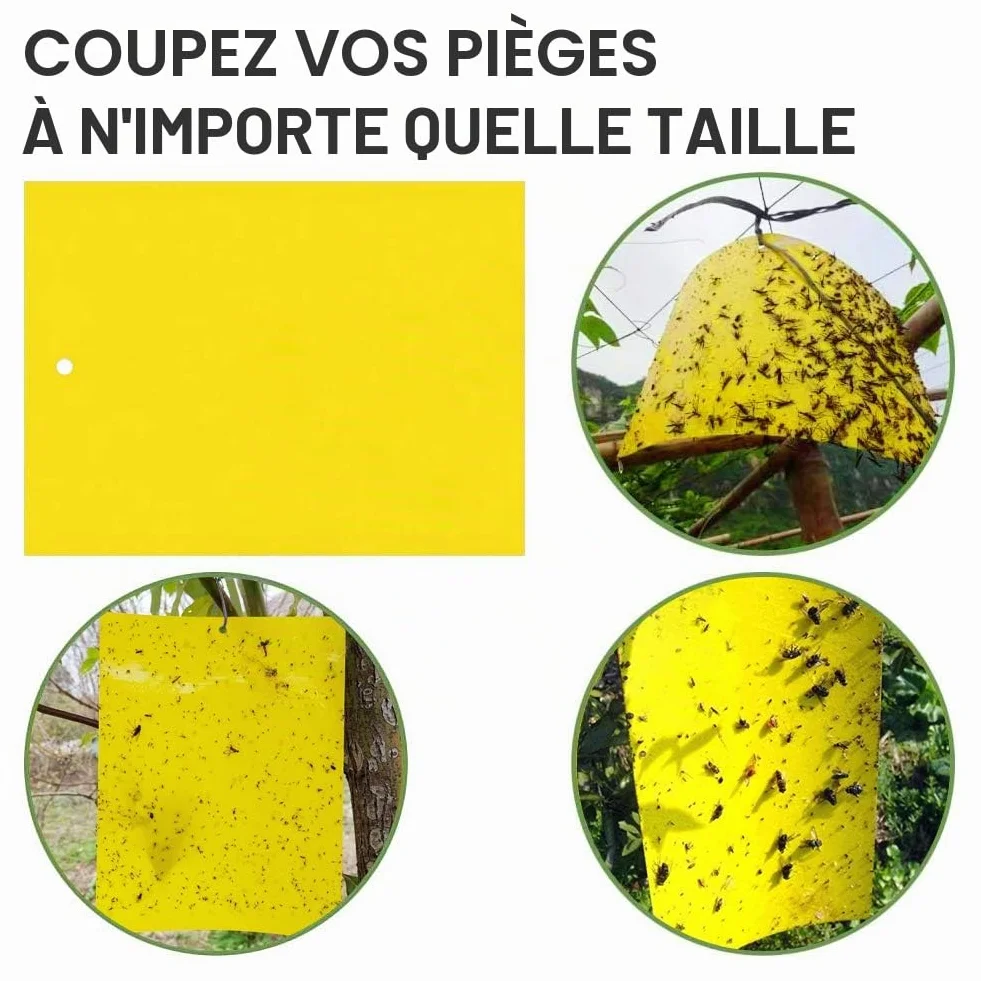 Pièges à Insectes Double Face Jaune 40 Pièces Papier Anti-Mouches