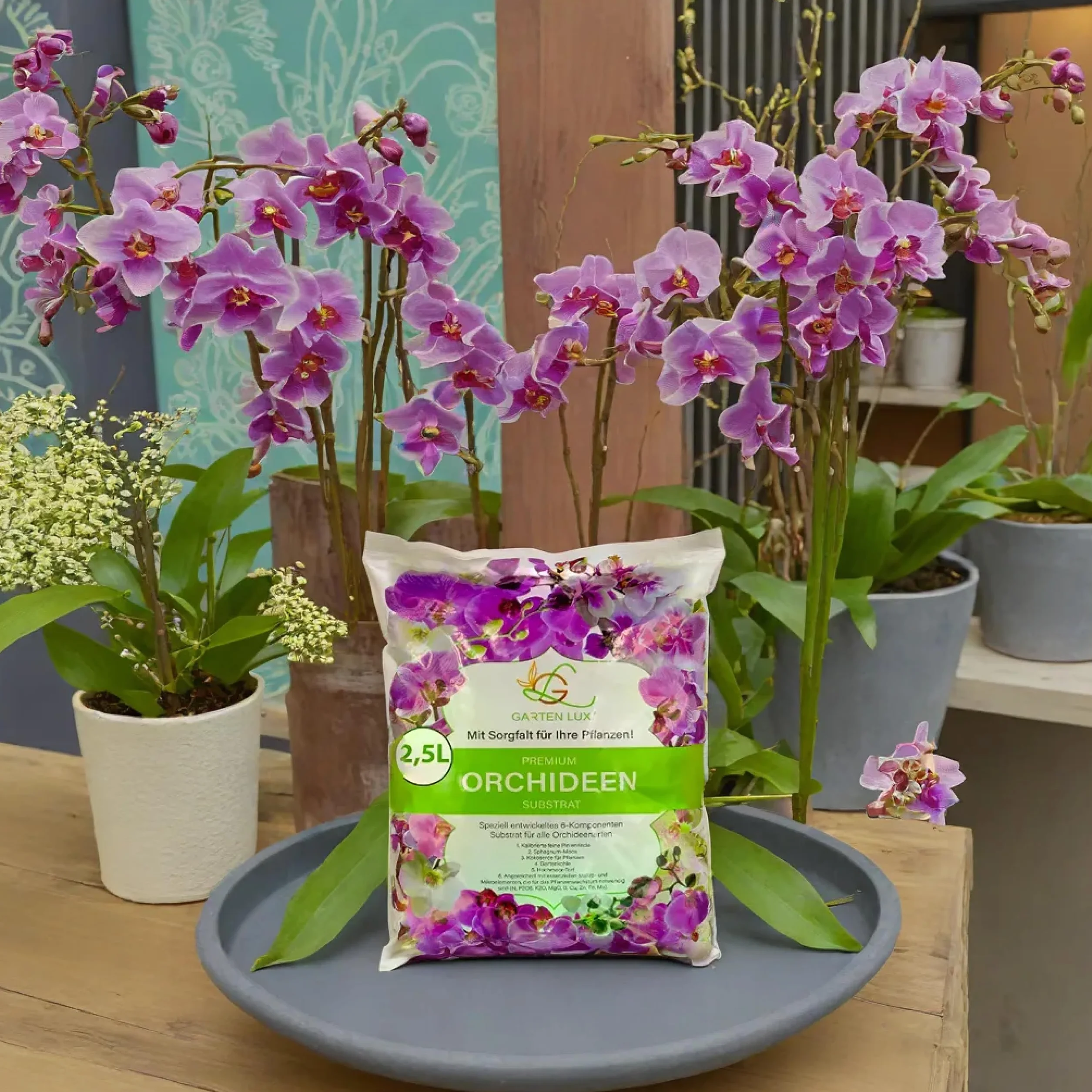 Substrat pour orchidées 2,5 L 6 composants Orchideenerde