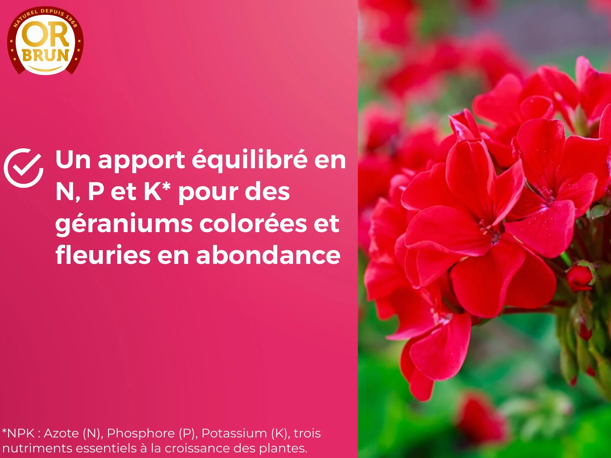 Engrais Géraniums 1L Fortifie Floraison Agriculture Biologique Fabriqué France