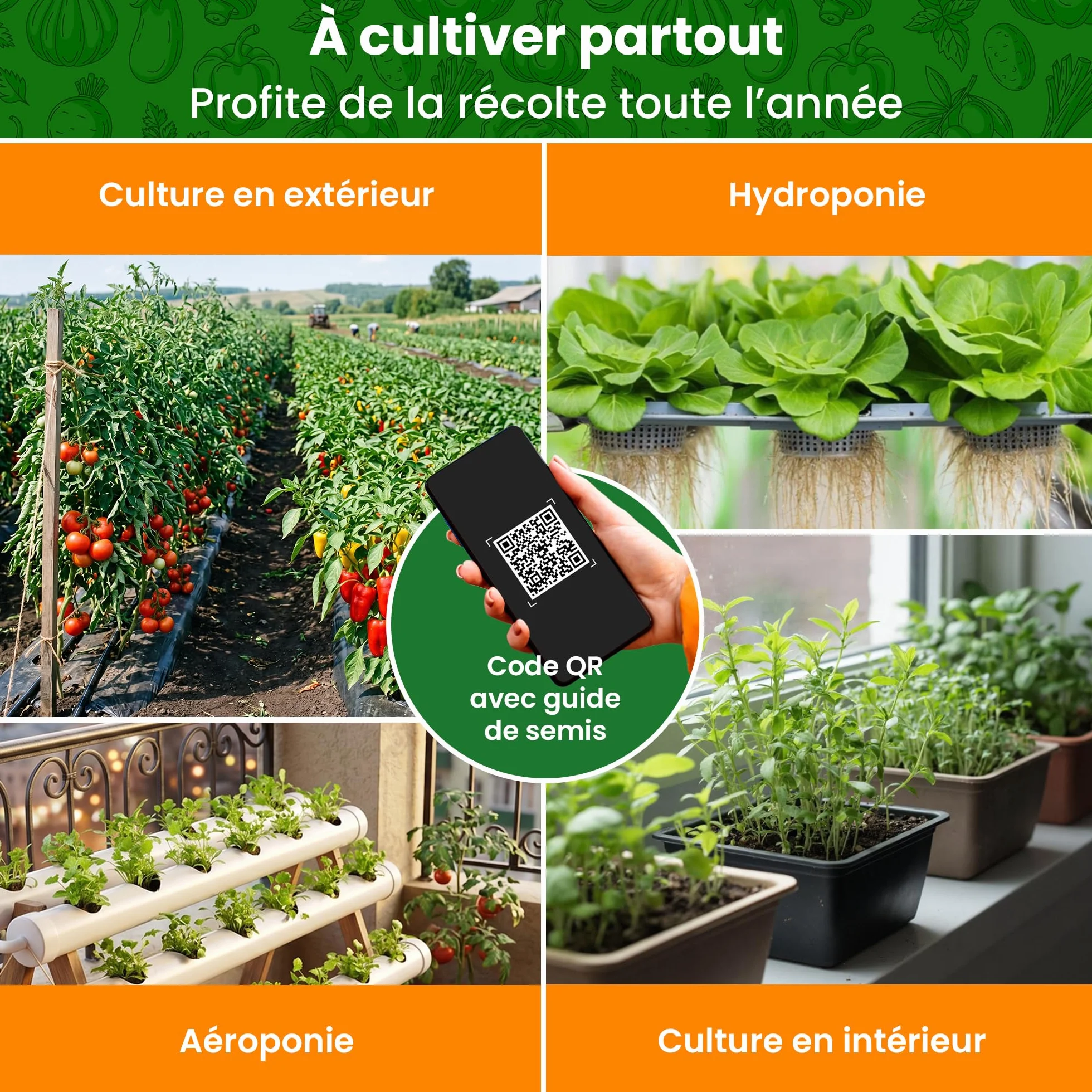 Kit de Graines de Légumes 15 Variétés – Tomate, Concombre, Carotte, Poivron, Courgette, Radis
