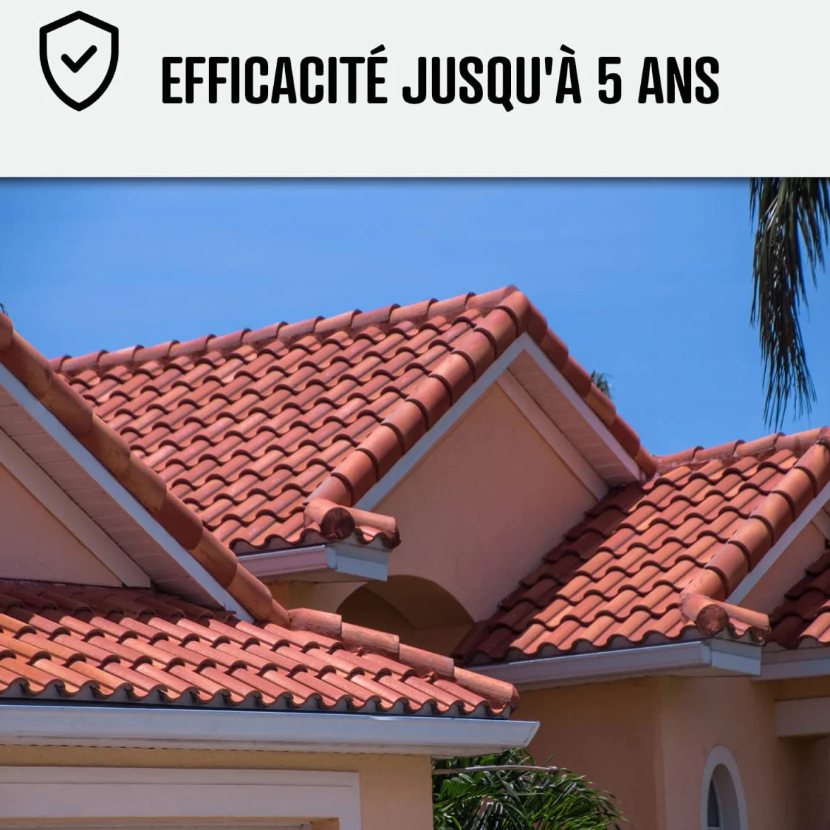 Hydrofuge Toiture, imperméabilisant tuiles incolore - IMPERTOITURE HYDRO - 5 L (jusqu'à 25 m²) - ARCANE INDUSTRIES