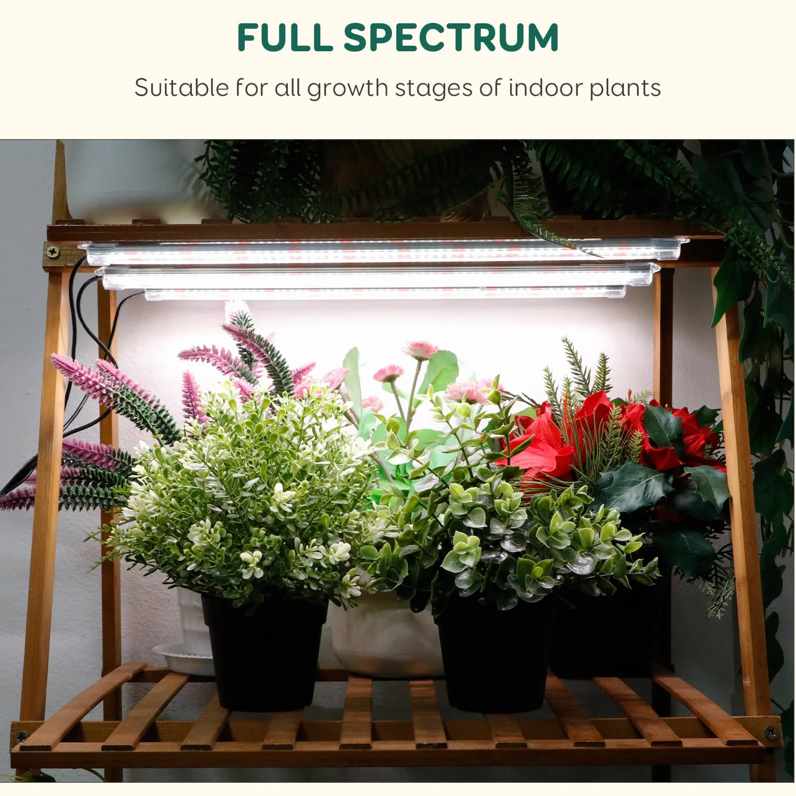 Lampe pour plantes LED COKOLILA 240 LED avec minuterie Auto ON/Off 6/12/18H, 3 modes d'éclairage, 5 luminosités