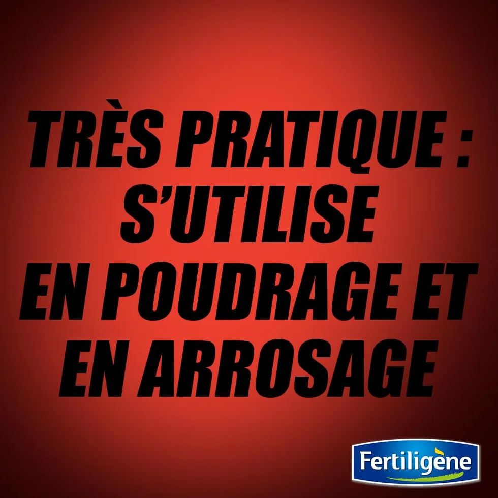 Fertiligène Destructeur de Fourmilières Action Choc 48h 400g – Jusqu'à 20 Nids