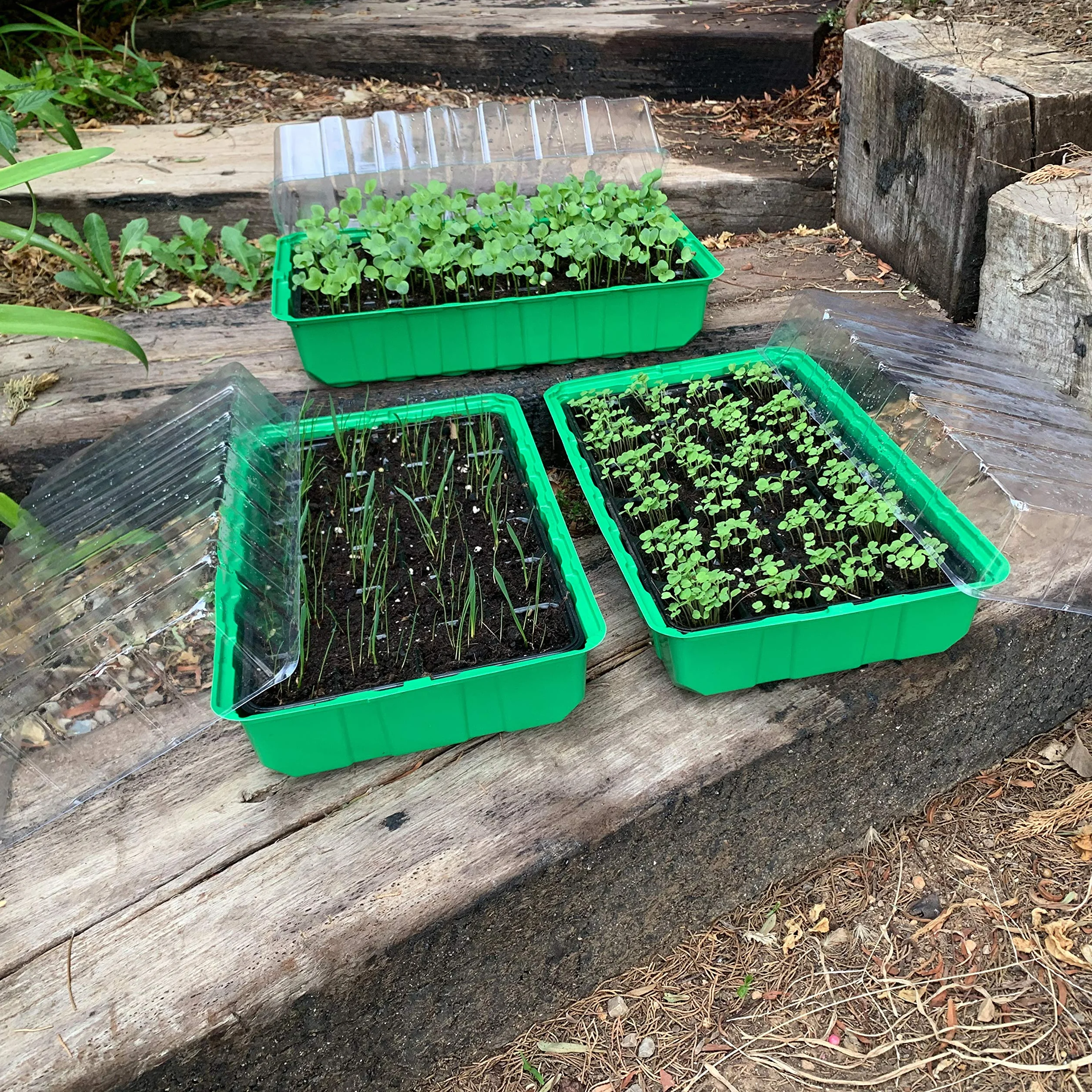 Bac à semis Serre pour Potager Extérieur/Intérieur avec 3 Plateaux, 3 Récipients Plastique Transparent et 3 Plateaux de Serre pour 24 Pots - Mini Serre