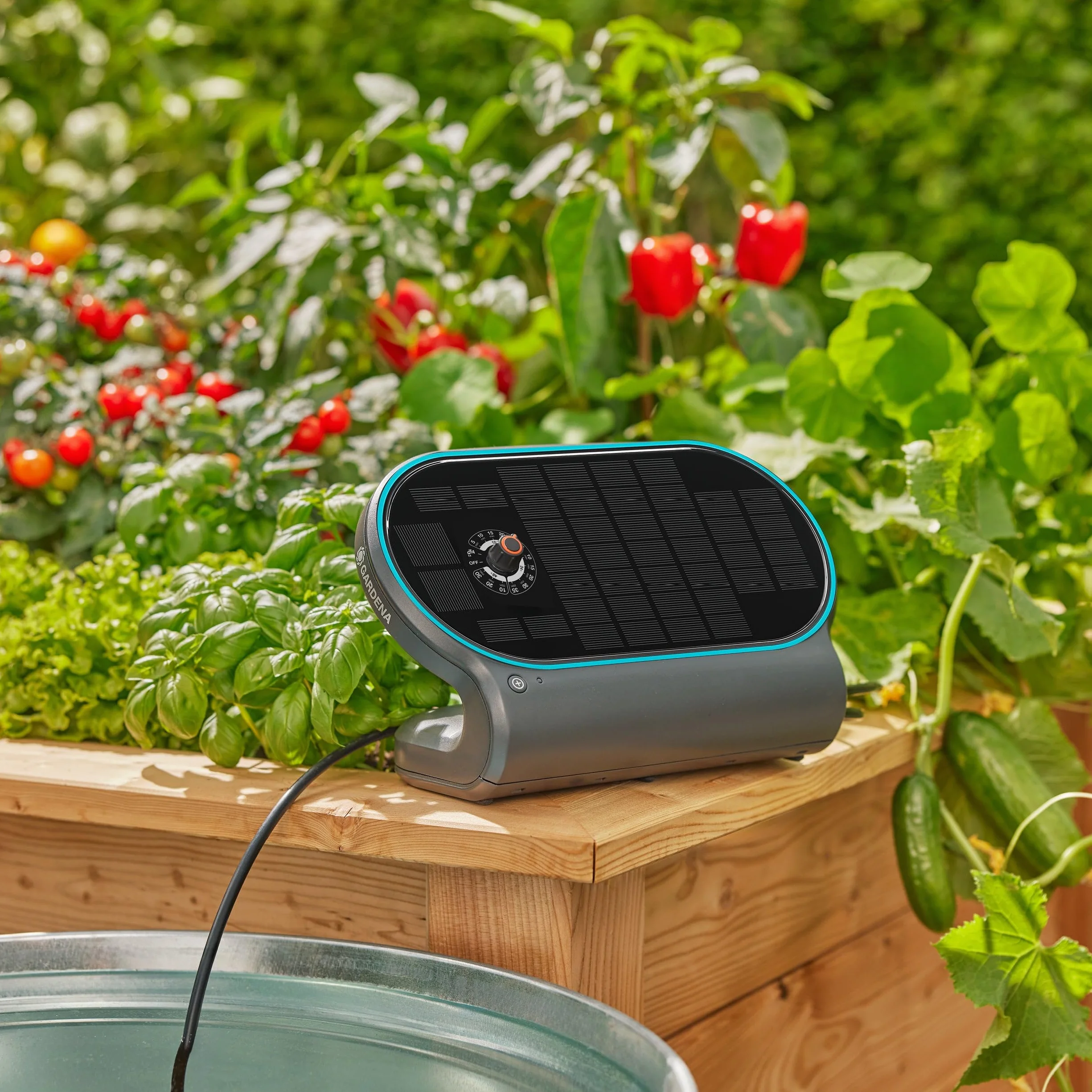 Gardena AquaBloom L Set Système d'Arrosage Autonome pour 30 Plantes