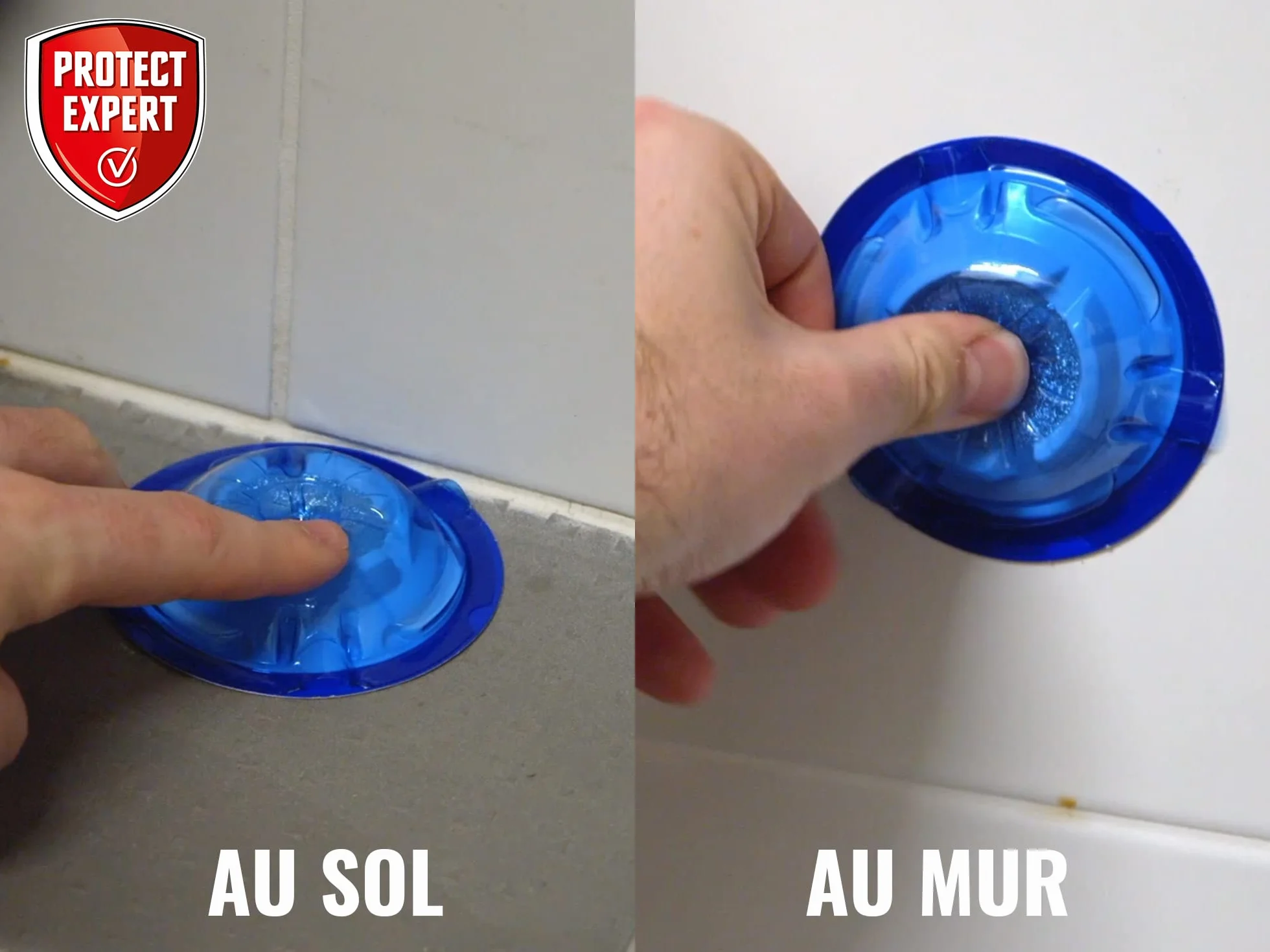PROTECT EXPERT Boîtes Appât Anti-Fourmis x4 - Protection 12 Semaines Intérieur Extérieur