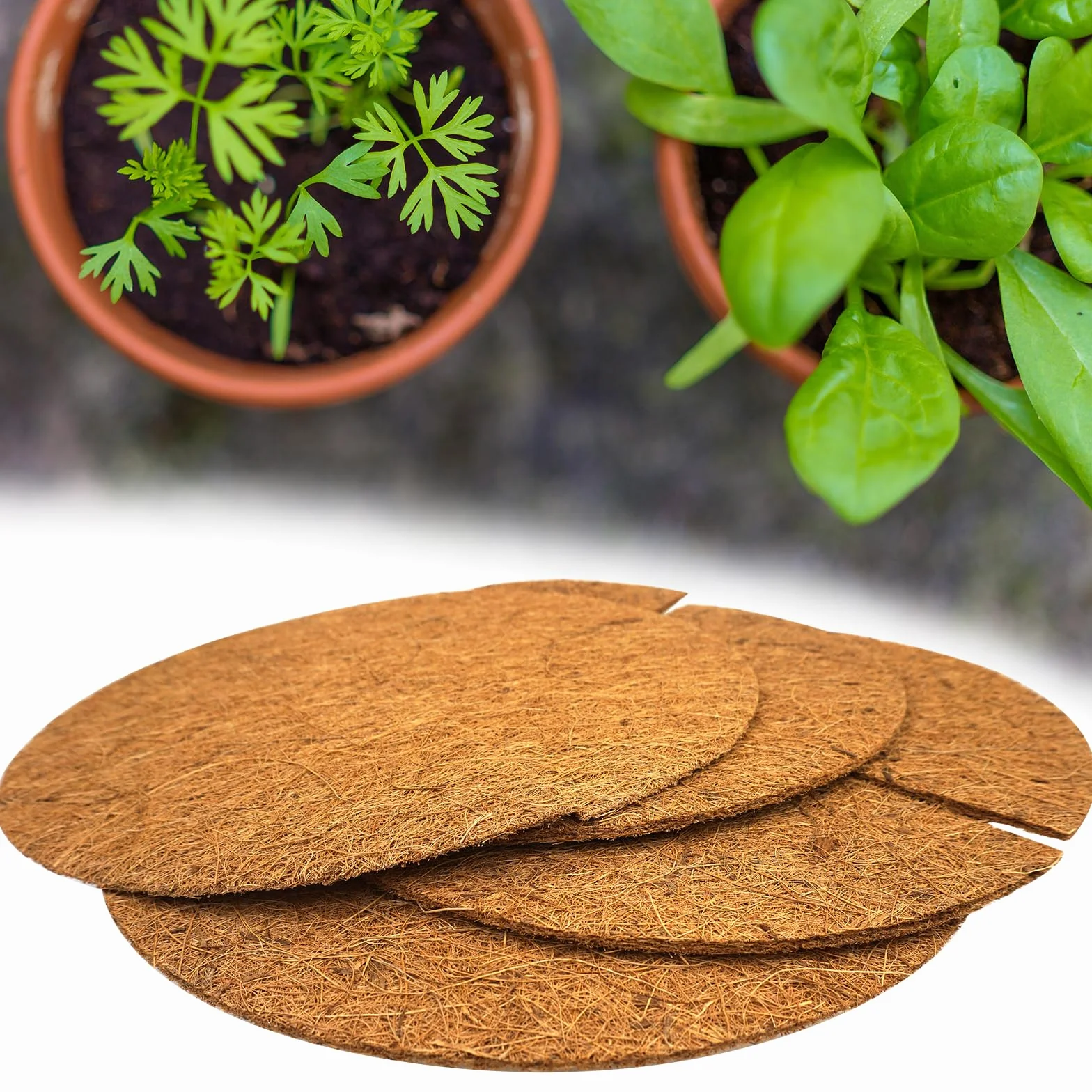 Tapis Protection en Noix de Coco pour Plantes en Pot, 40cm, Lot de 4, Contre Le Gel Hivernale