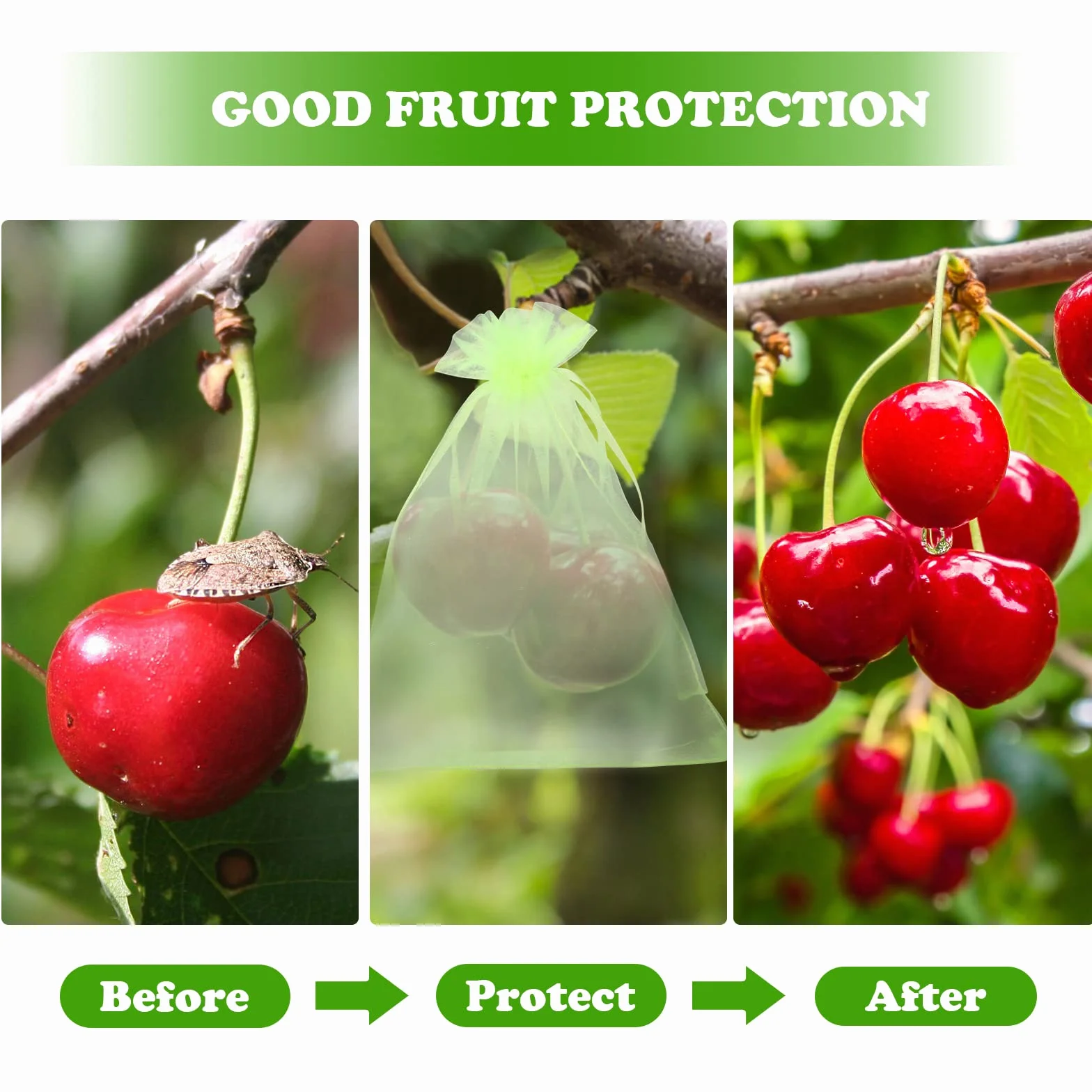 KINGLAKE 50 Pièces 15x20cm Sachet Protection Raisin Fruits Verts avec Cordon Sac Aéré Transparent Organza Empêcher Guêpes Drosophile Oiseaux