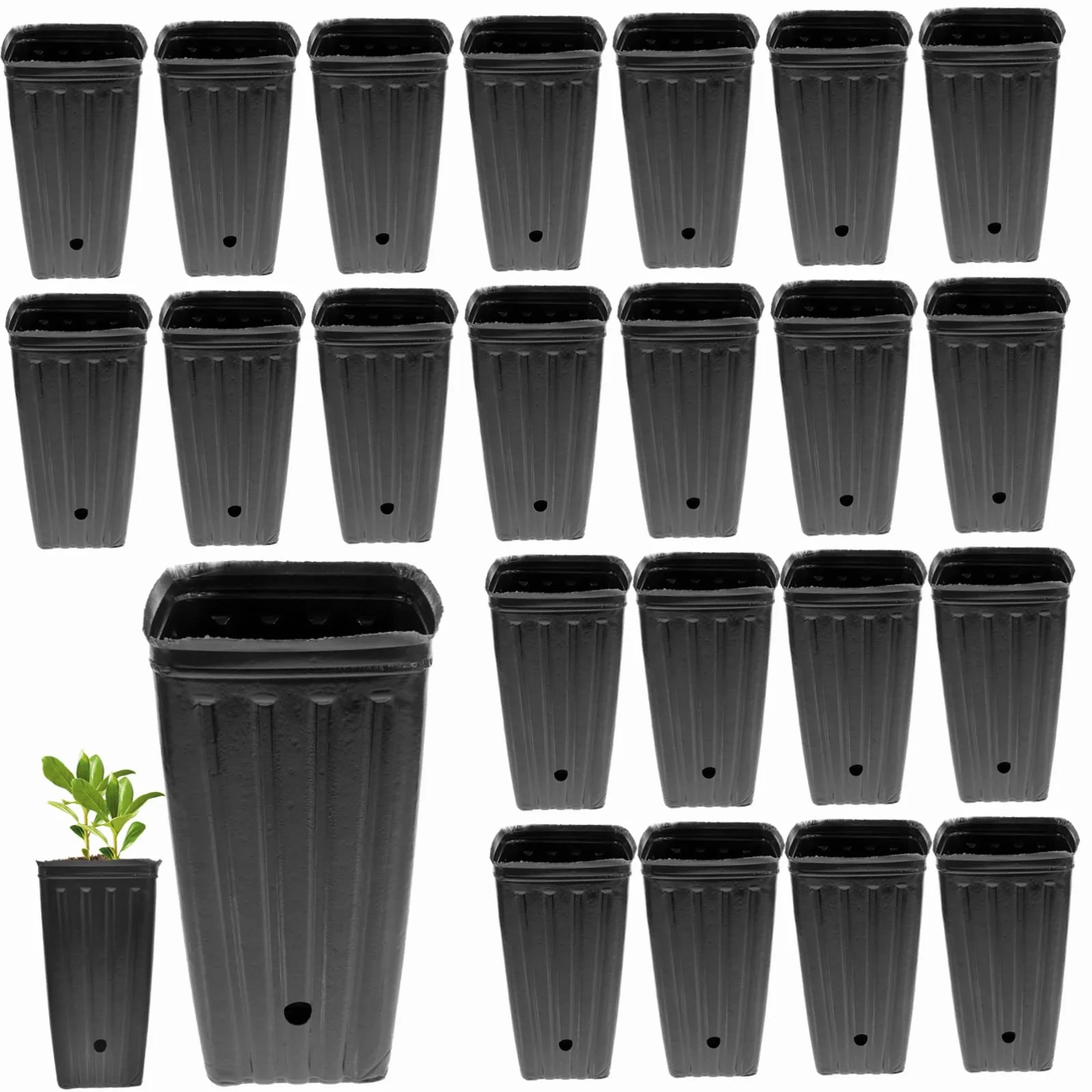 Happyyami Lot de 30 Godets de Pépinière Pots de Plantation Rectangulaires 10x20 cm Plastique Solide