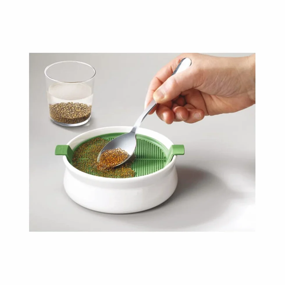 Germ'line Germoir Lot de 2 Coupelle de Germination Blanc 14.5 cm x 14.5 cm x 7 cm sans BPA