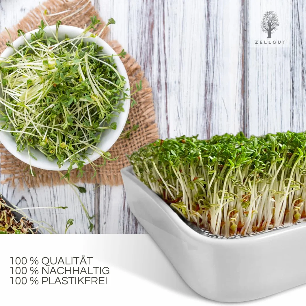 Passoire à Cresson Bac à Germination 12 cm Bol Céramique Tamis Acier Inoxydable Microgreens