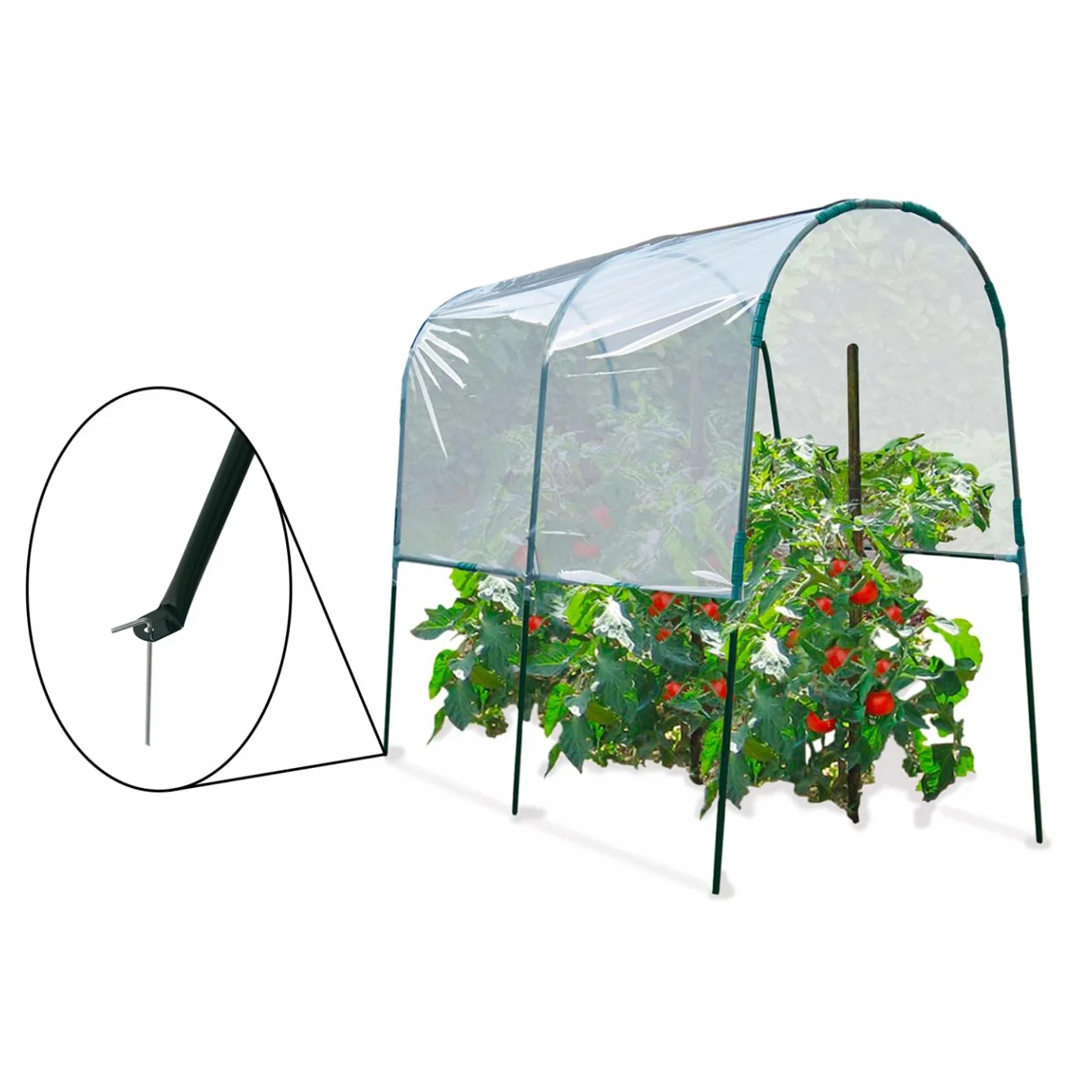 Serre à tomates 2 M Probache