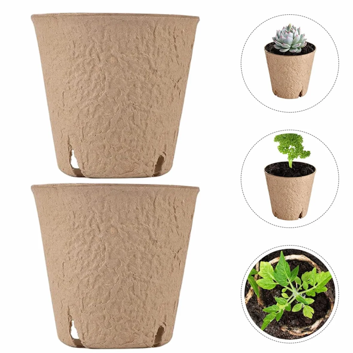 BESPORTBLE 20 pièces Pots De Germination pour Plantes Godets De Jardinage avec Drainage