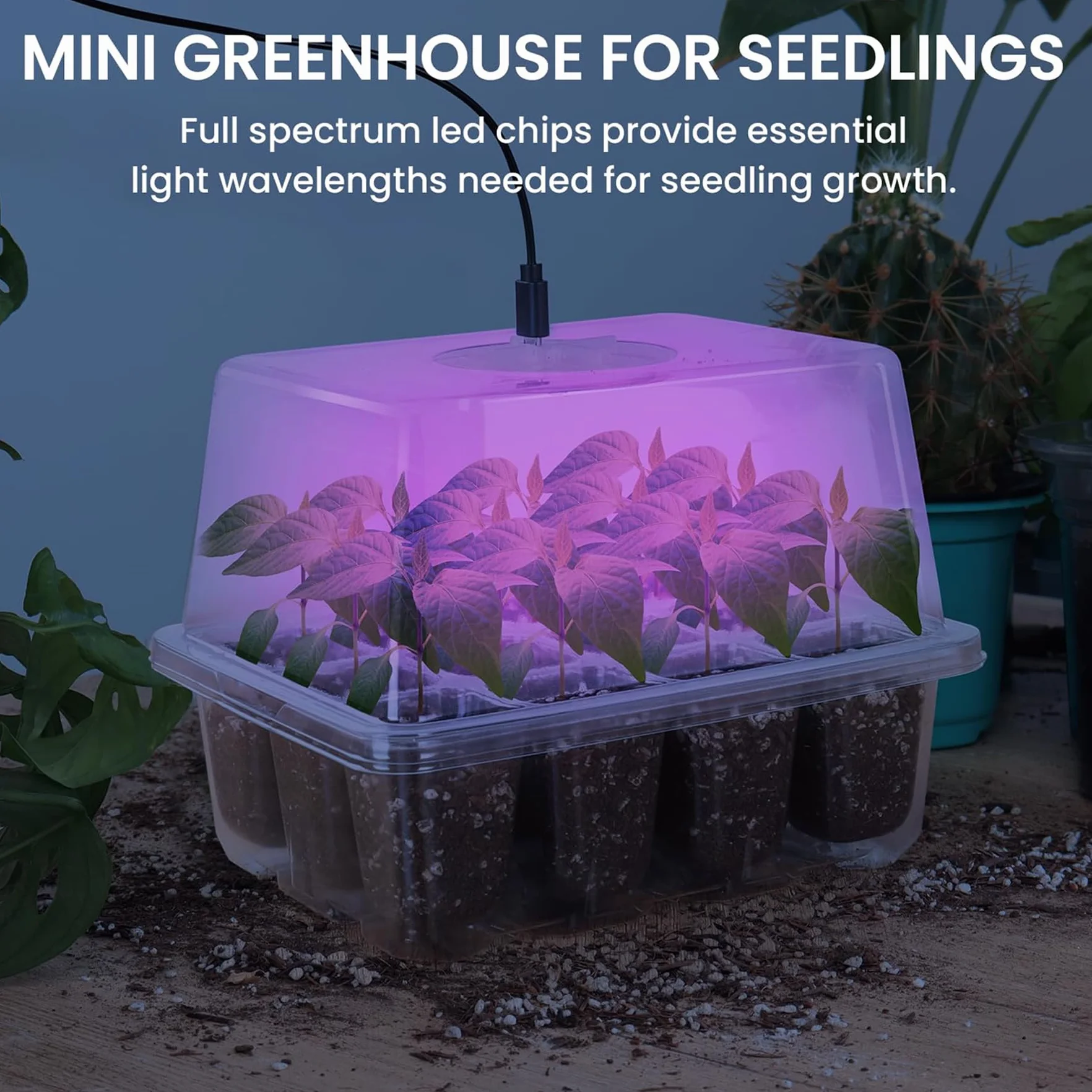 YeahBoom Mini Serre pour Plantes avec LED luminosité réglable, Kit de Culture Intérieur