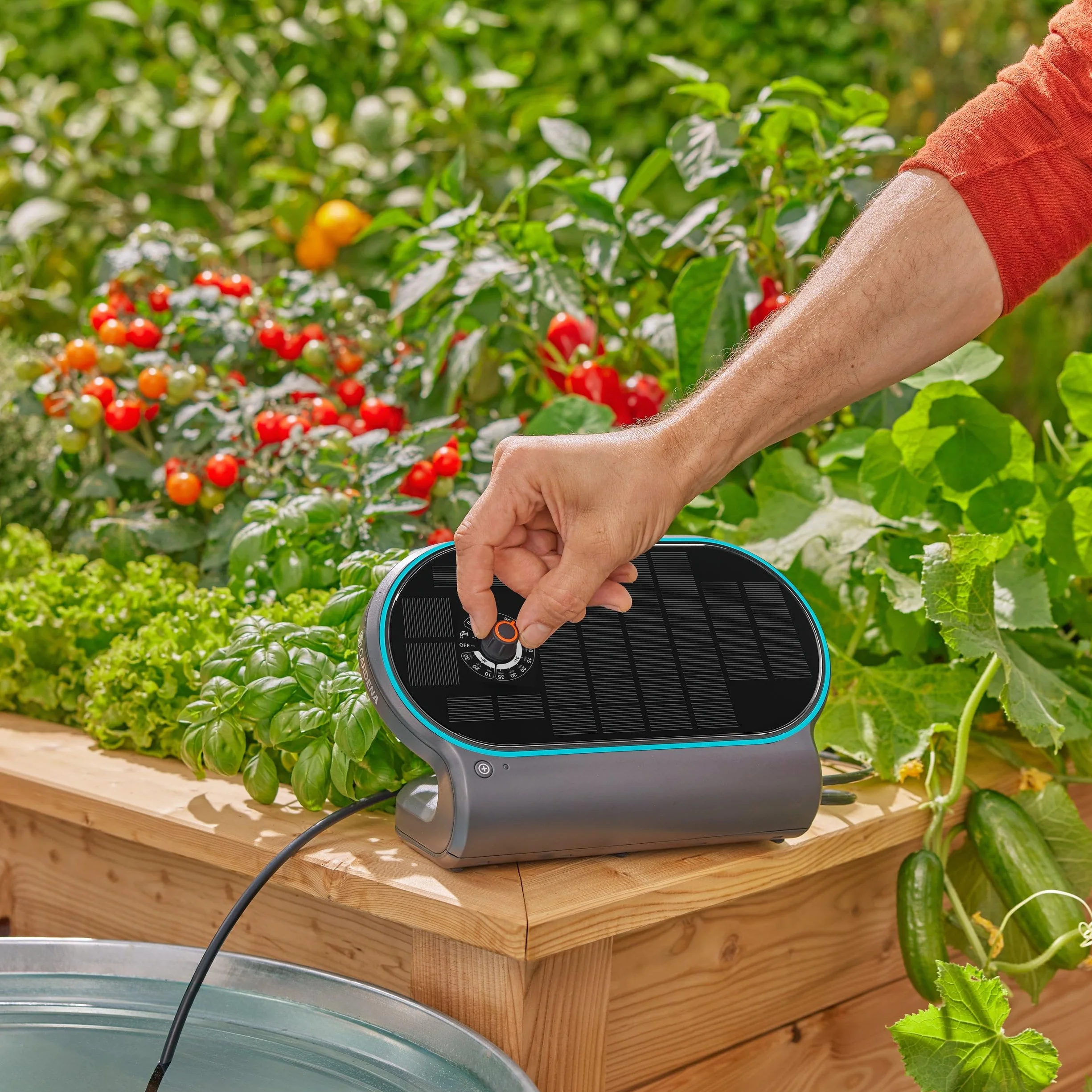 Gardena AquaBloom L Set Système d'Arrosage Autonome pour 30 Plantes