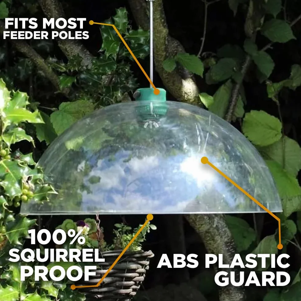 Grand Universel 40cm Transparent Mangeoire Oiseaux Accessoire