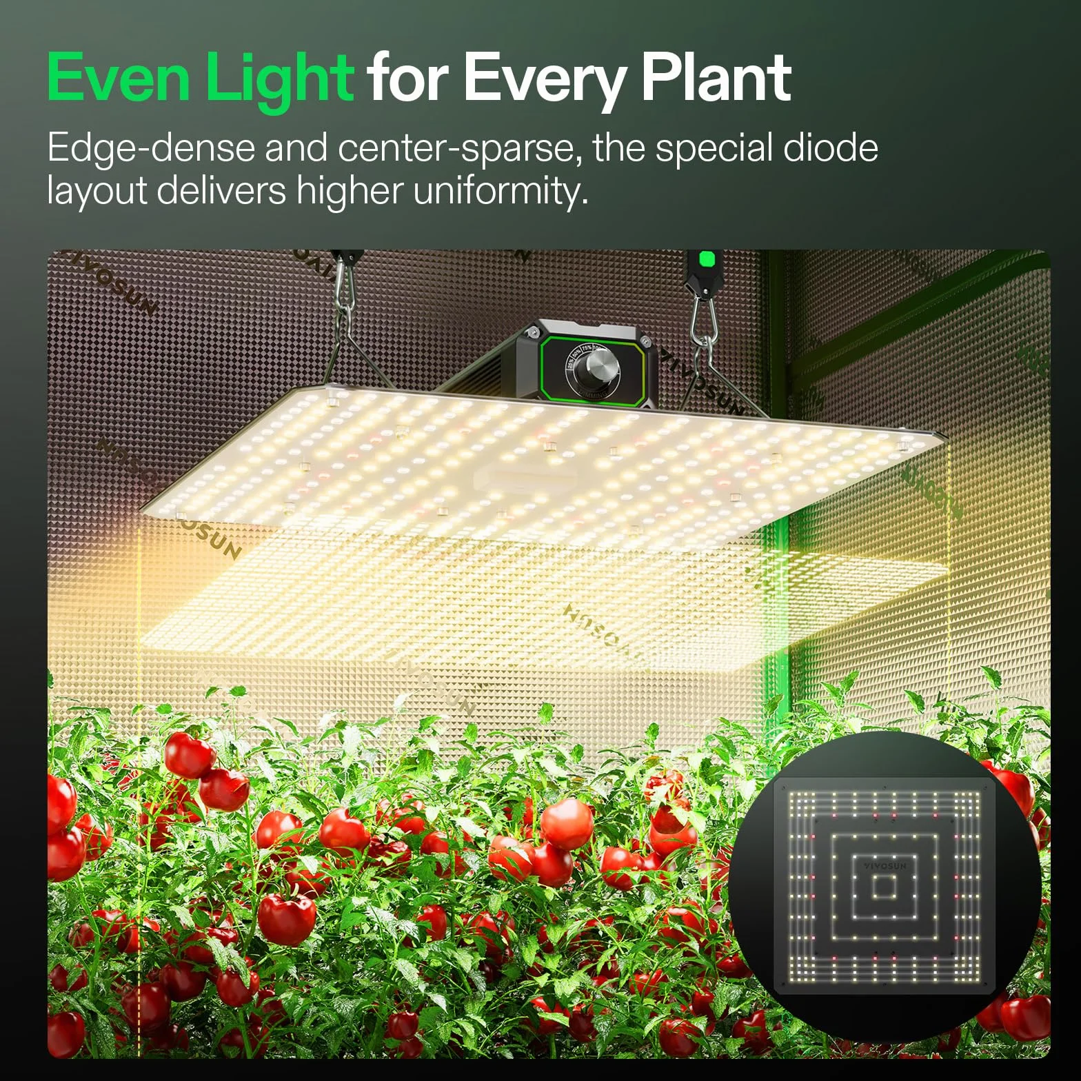VIVOSUN Lampe de culture LED 100W, Spectre Complet, PPFD Élevé pour Plantes Semis