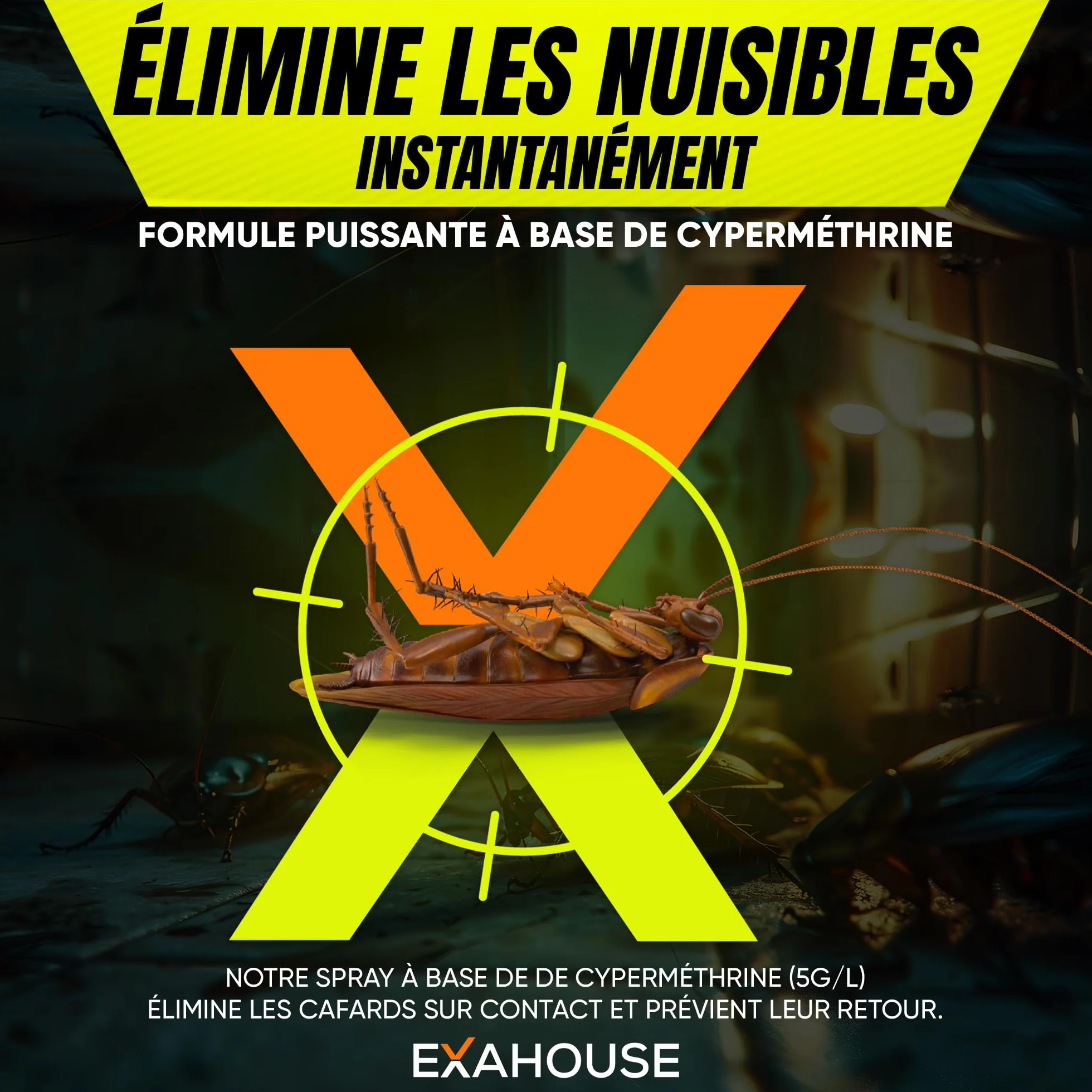 Exahouse Anti Cafards Spray Insecticide Professionnel Ultra Puissant pour Maison & Jardin