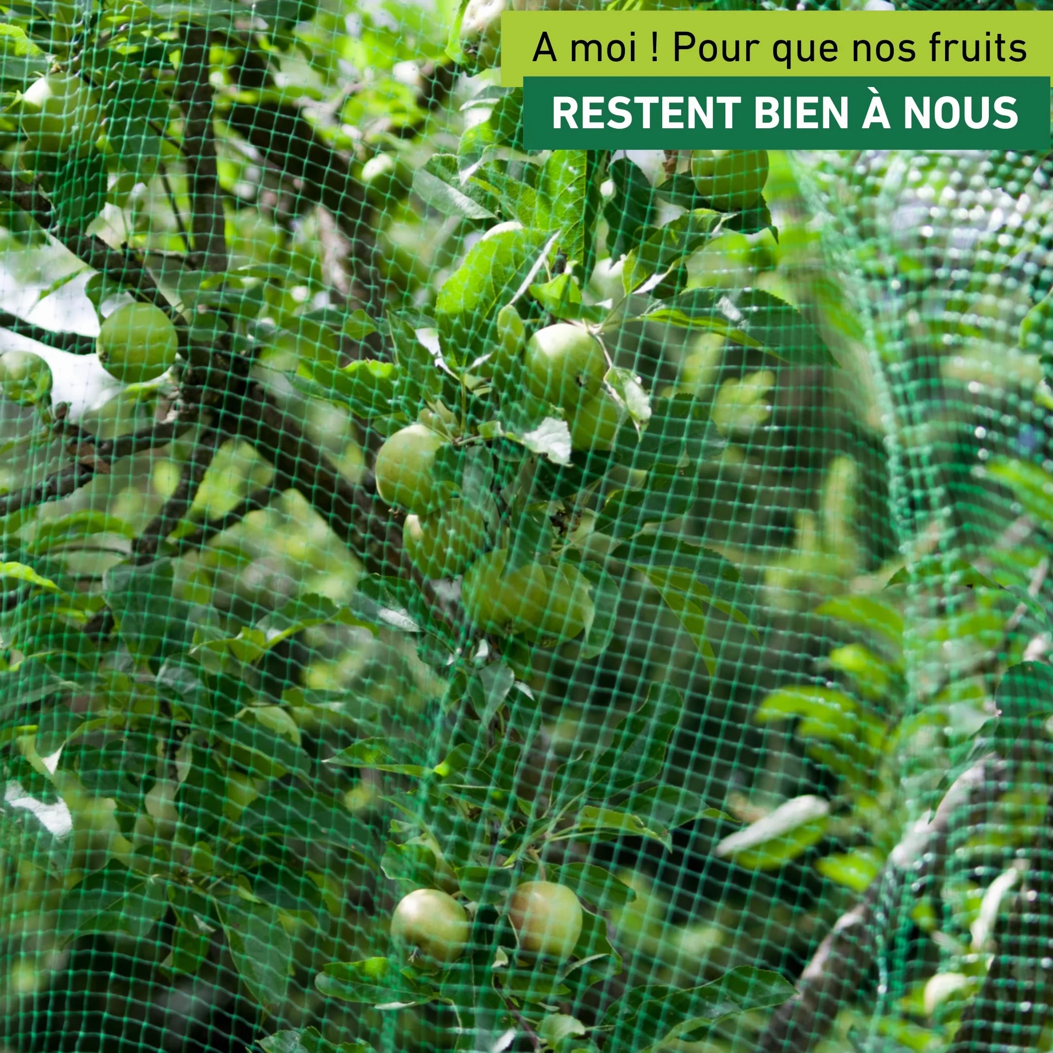 Windhager Filet Anti-Oiseaux 5 x 2 m Maille 13 x 13 mm, Protection Jardin Potager, Noir