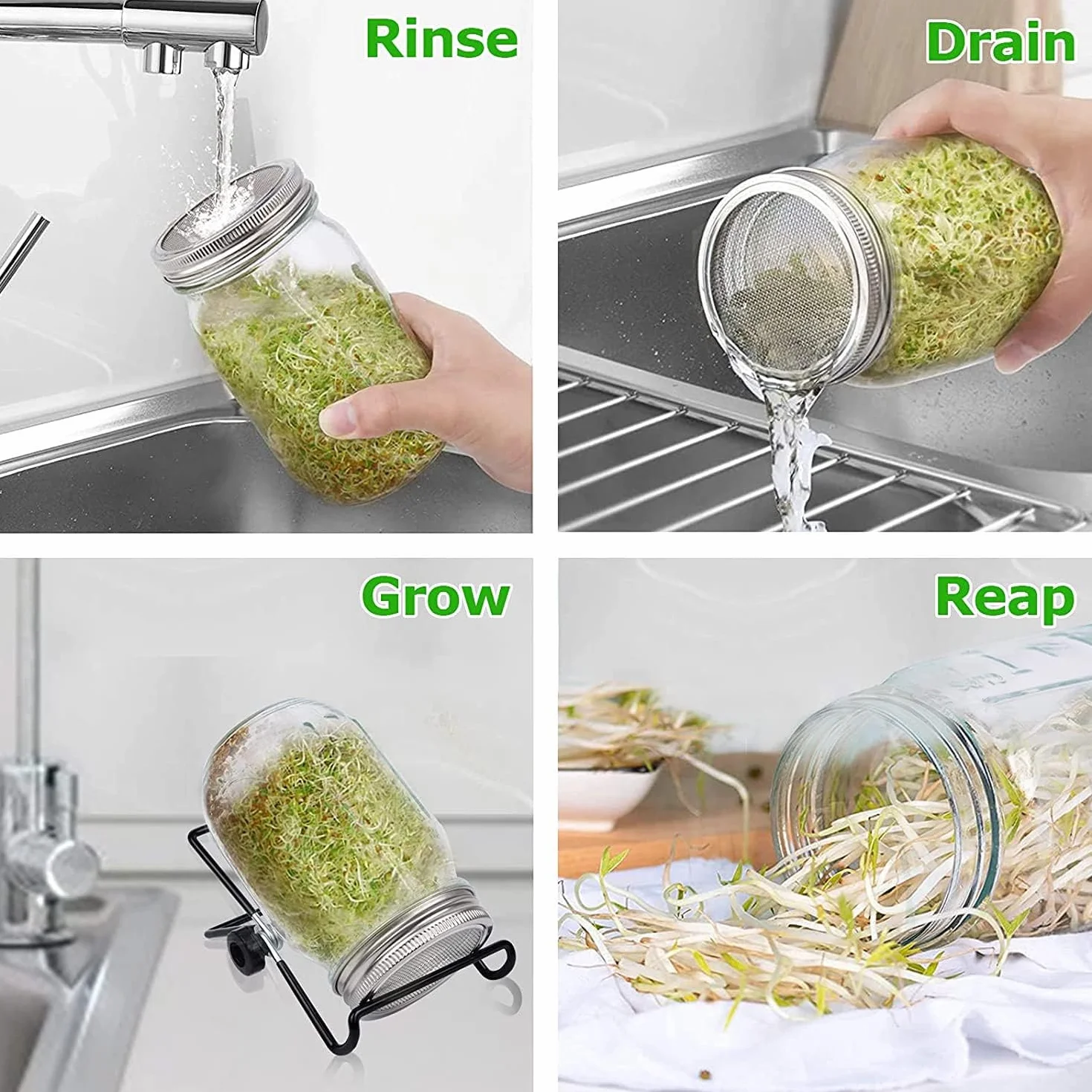 Zoojoy Kit de Germination de Graines avec Couvercles en Acier Inoxydable, Supports et Germinateur