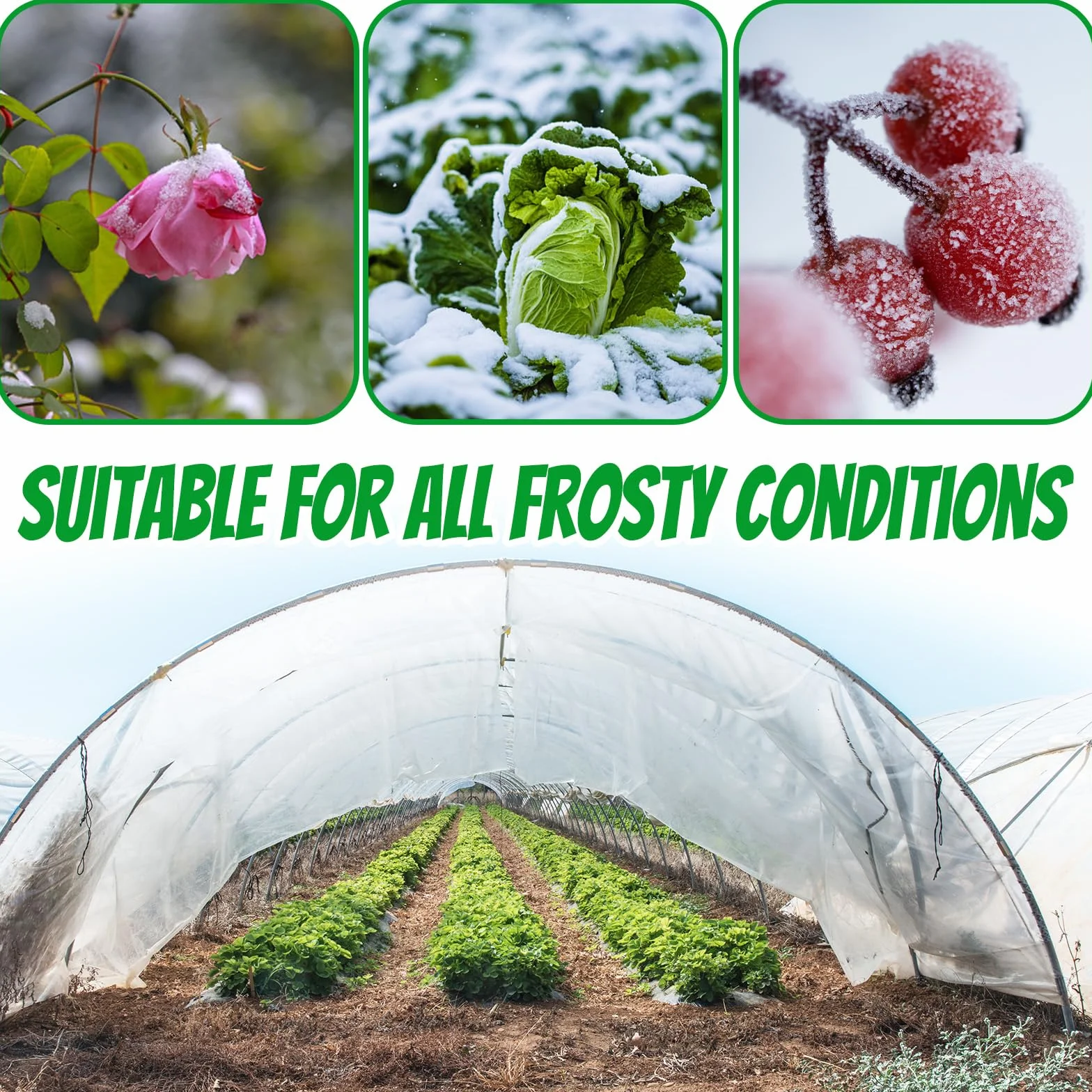 Bâche d'Hivernage Plante 2x10m Voile Hivernage Protection Gel Réutilisable Résistant Insectes Oiseaux Blanc