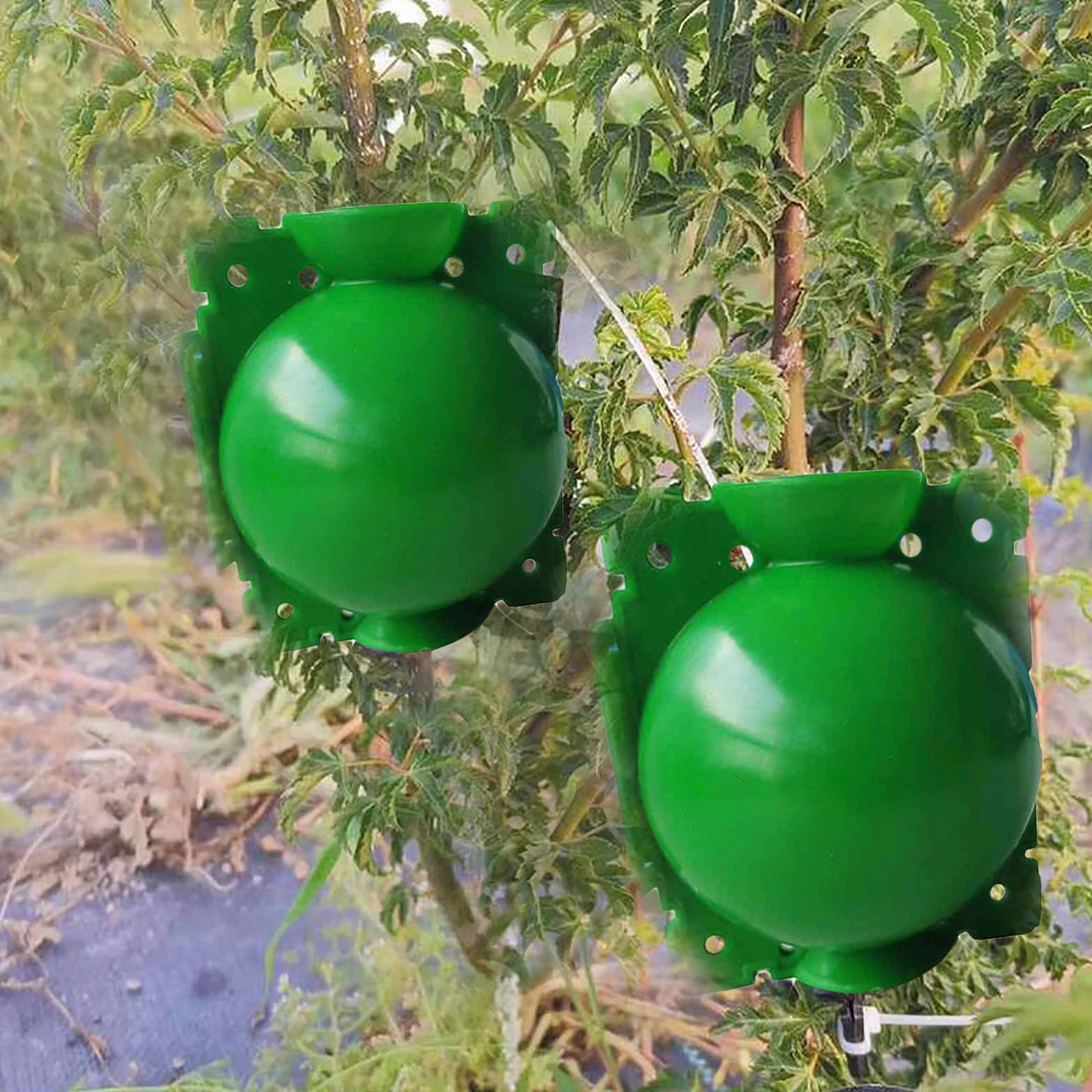 Lot de 10 dispositifs d'enracinement de plantes sphériques 12 cm