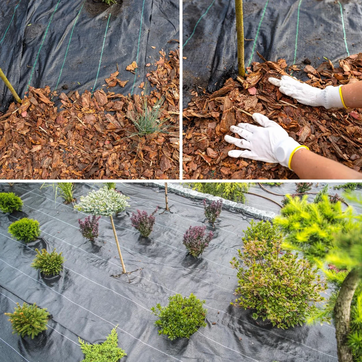 GARDENIX Toile Anti-Mauvaises Herbes Extra Forte 70 g/m² 0,6m x 10m Tissu de Sol Non-tissé Jardin Noir