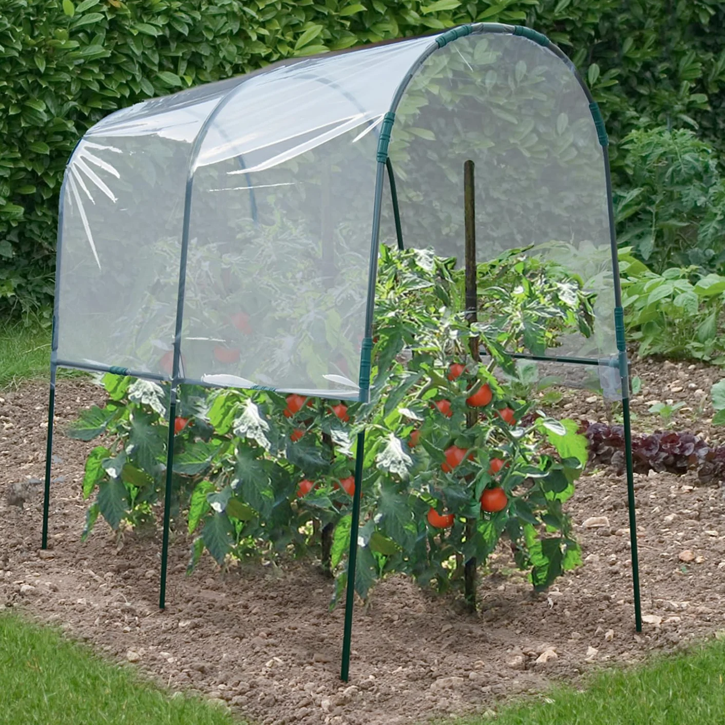Serre à tomates 2 M Probache