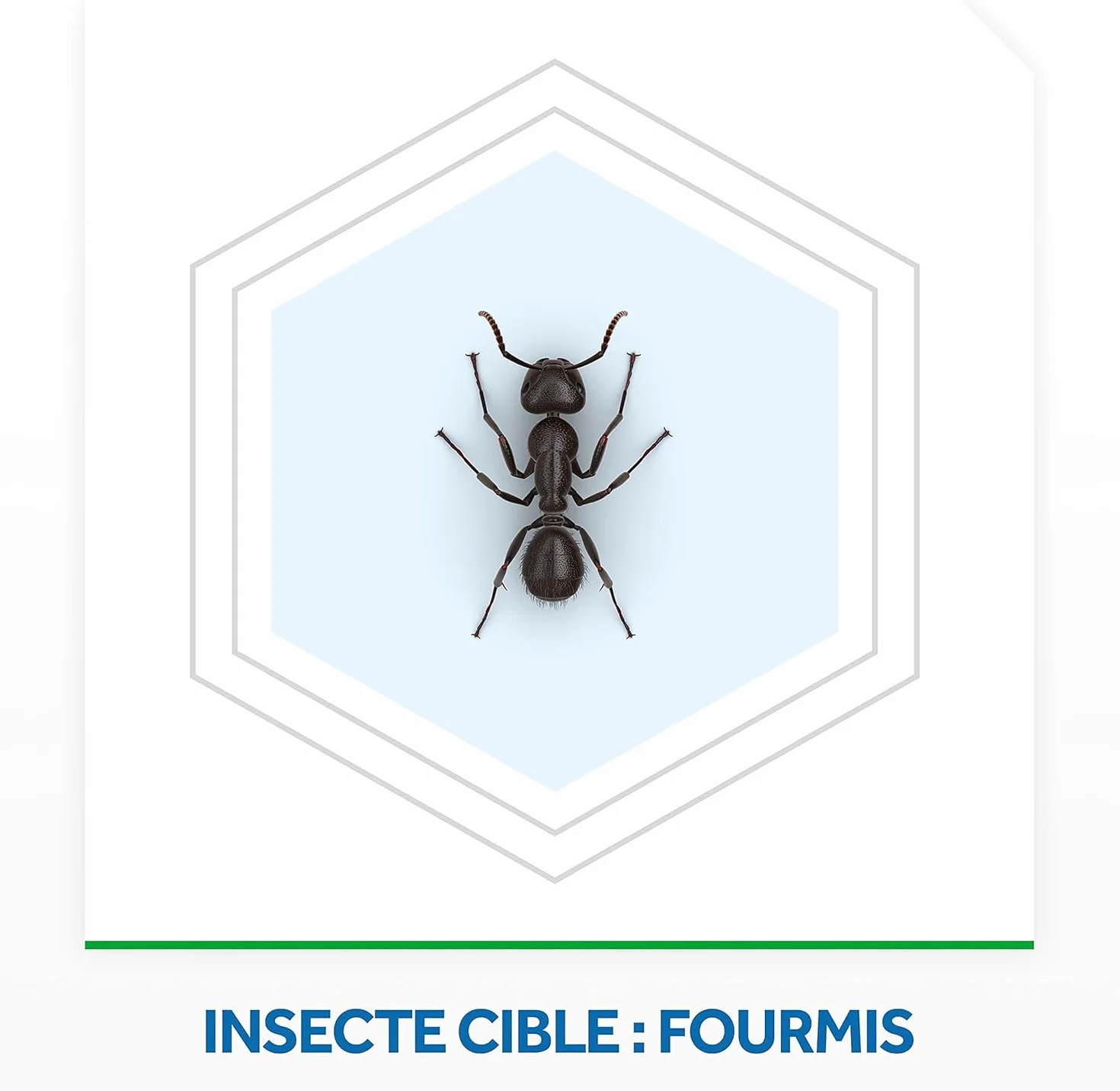 Raid Max Système Anti-Fourmis - Piège 1 Pièce
