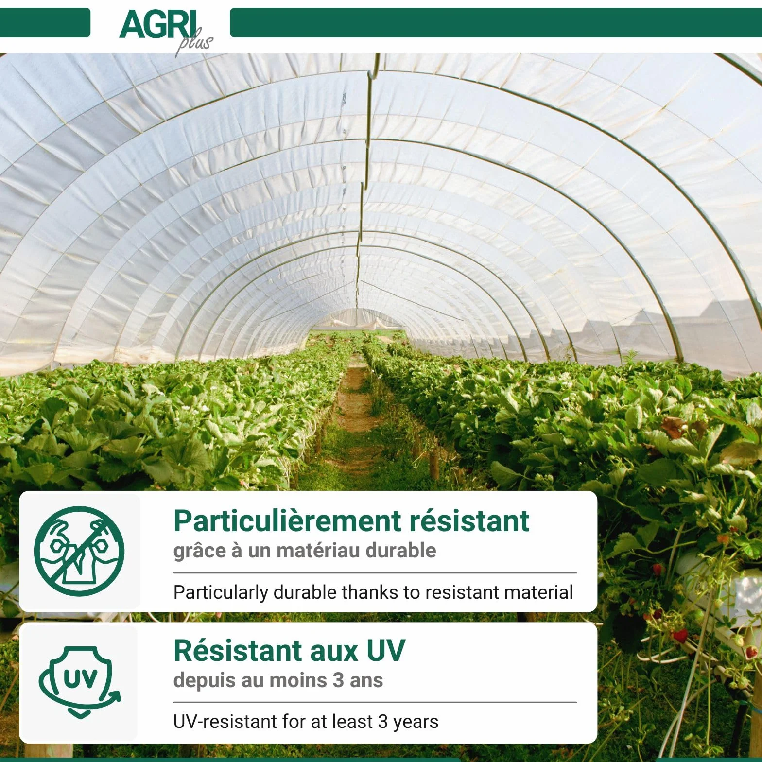 AGRI plus Film de Serre 2 x 25 m bâche de Protection résistant aux UV 0,150 mm